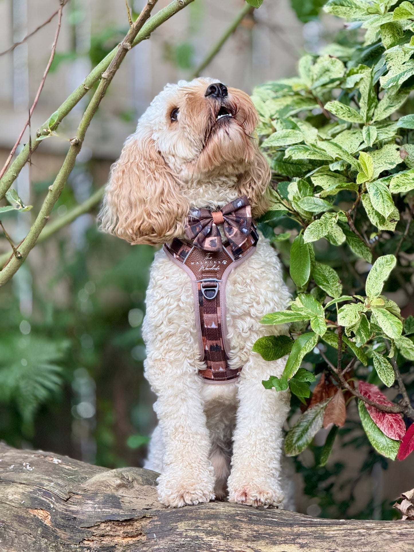 Forest Whispers Y-Flex Pro ™ Harness Chestnut Glade