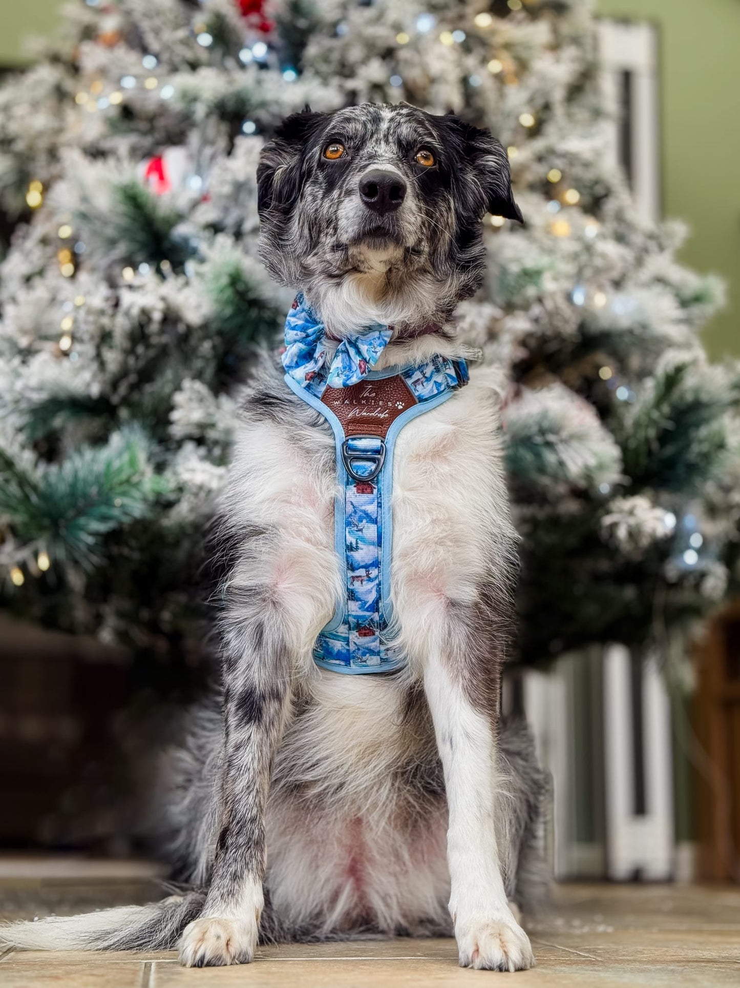 Frosted Peaks Y-Flex Pro harness