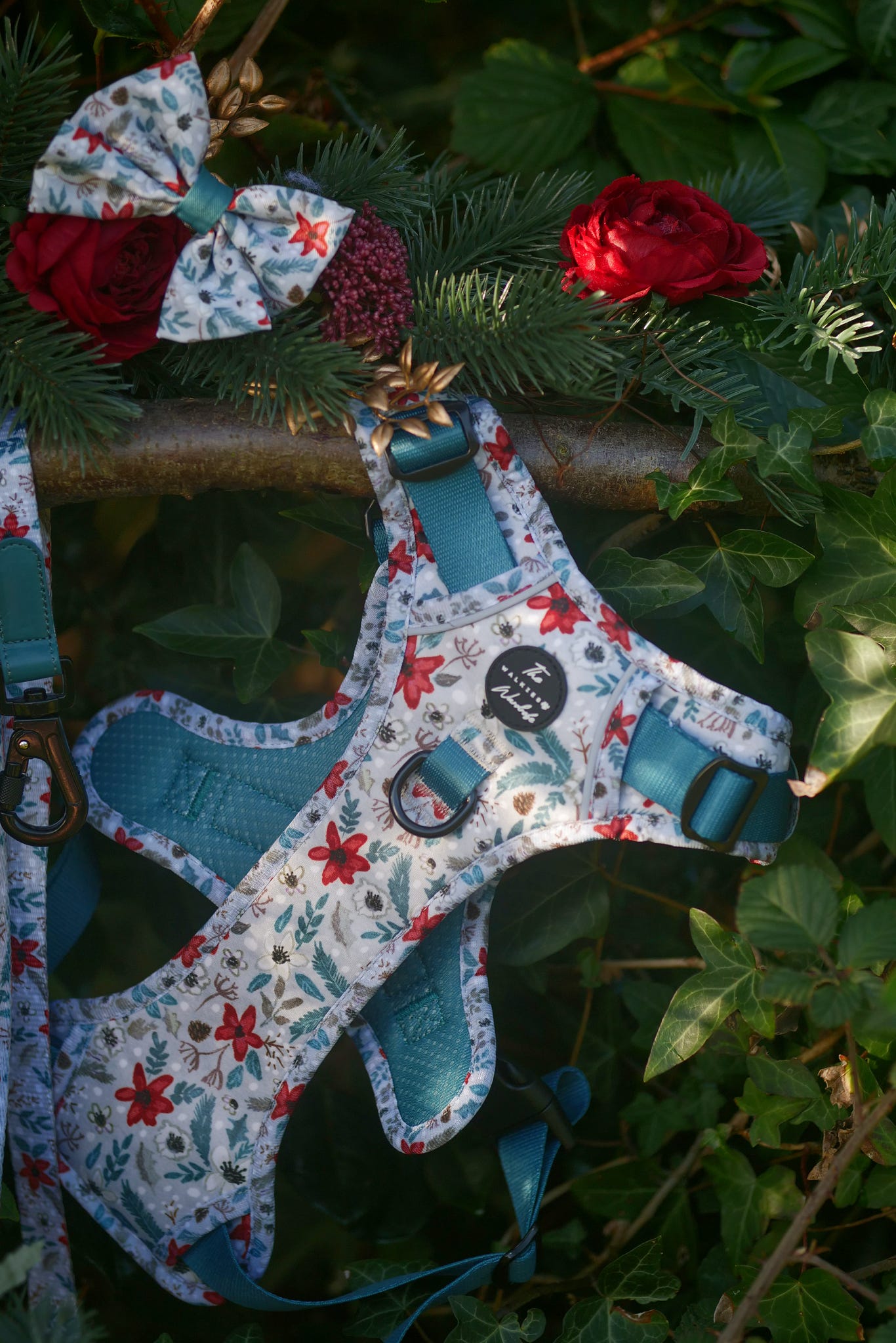 Poinsettia Woods Tough Trekker plushcore Harness