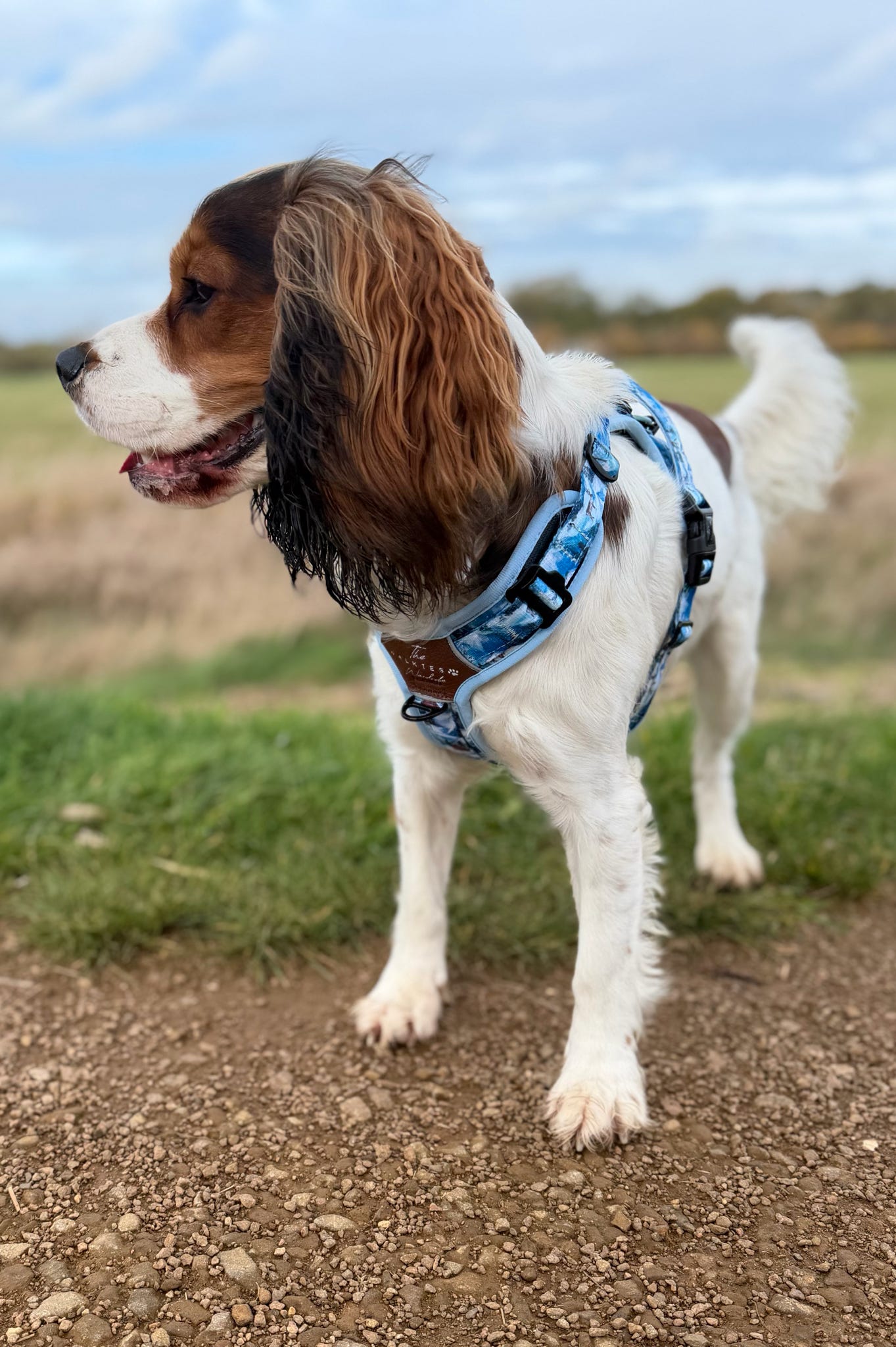 Frosted Peaks Y-Flex Pro harness