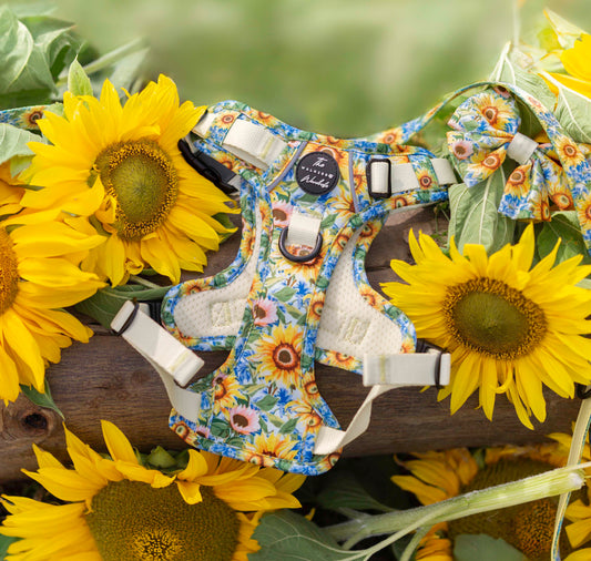Follow the Sun Tough Trekker plushcore ™ Harness