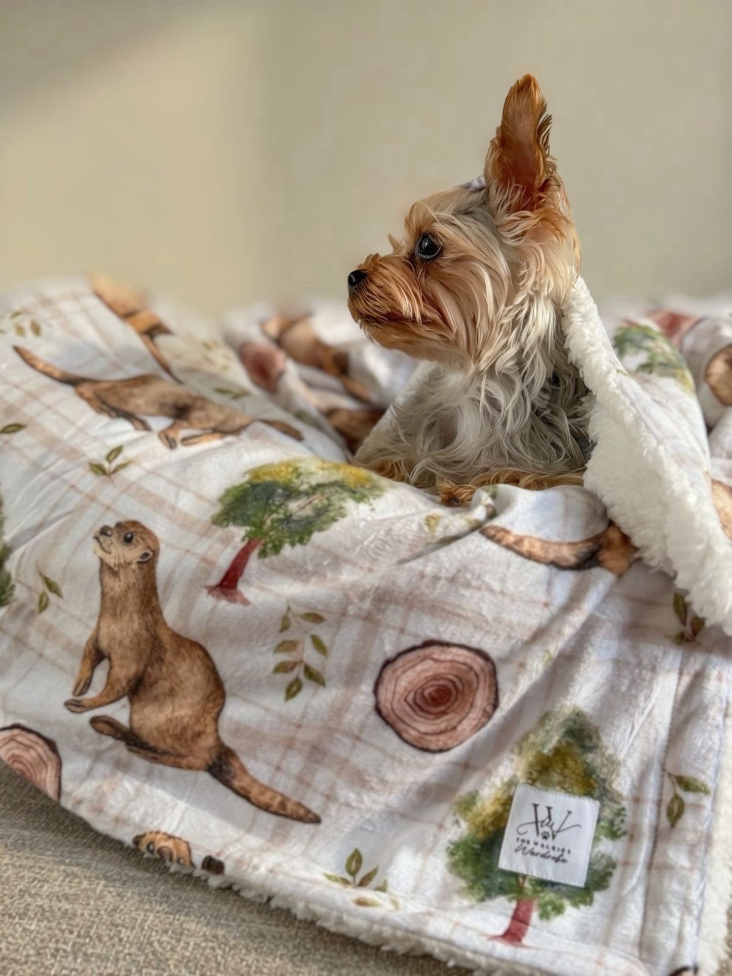 Otter Tarn Sherpa blanket