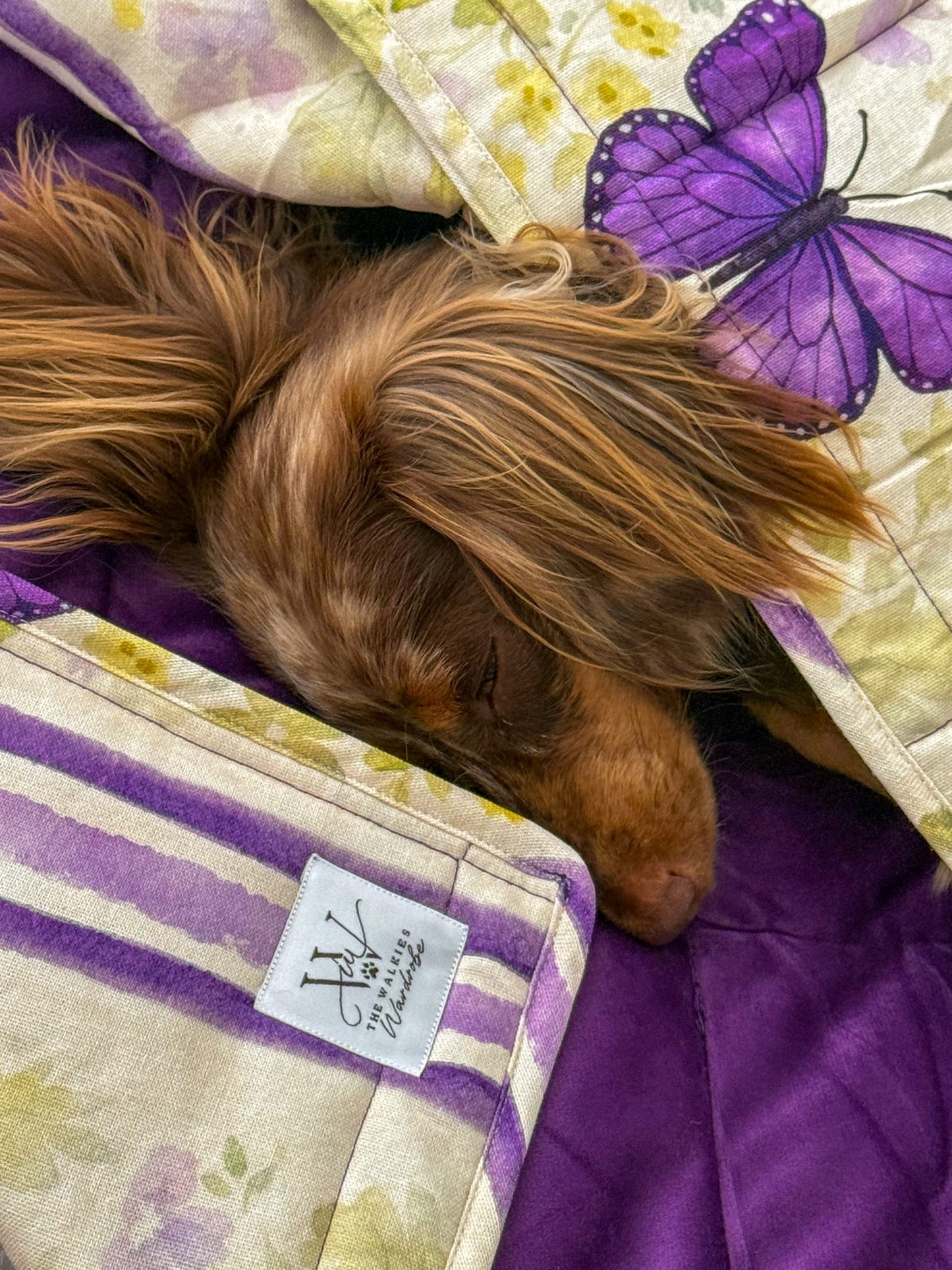 Beautiful Becoming luxurious blanket
