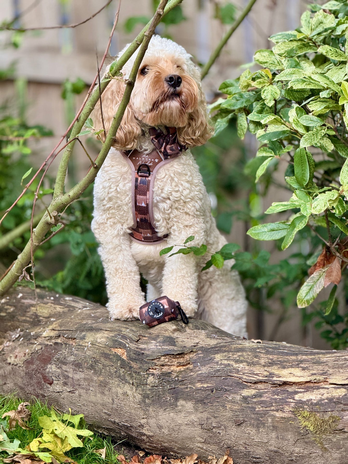 Poop Bag Holder- Chestnut Glade