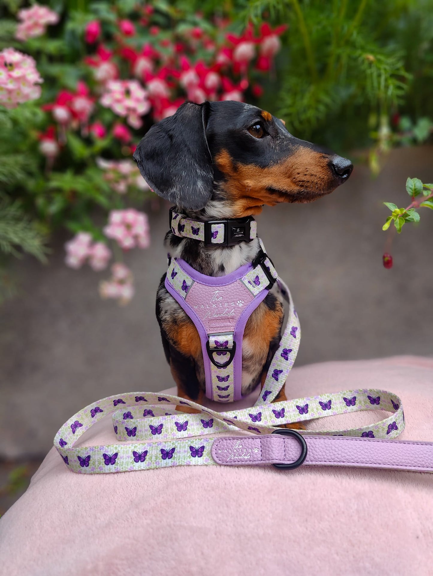 Y-Flex Pro harness- Beautiful Becoming