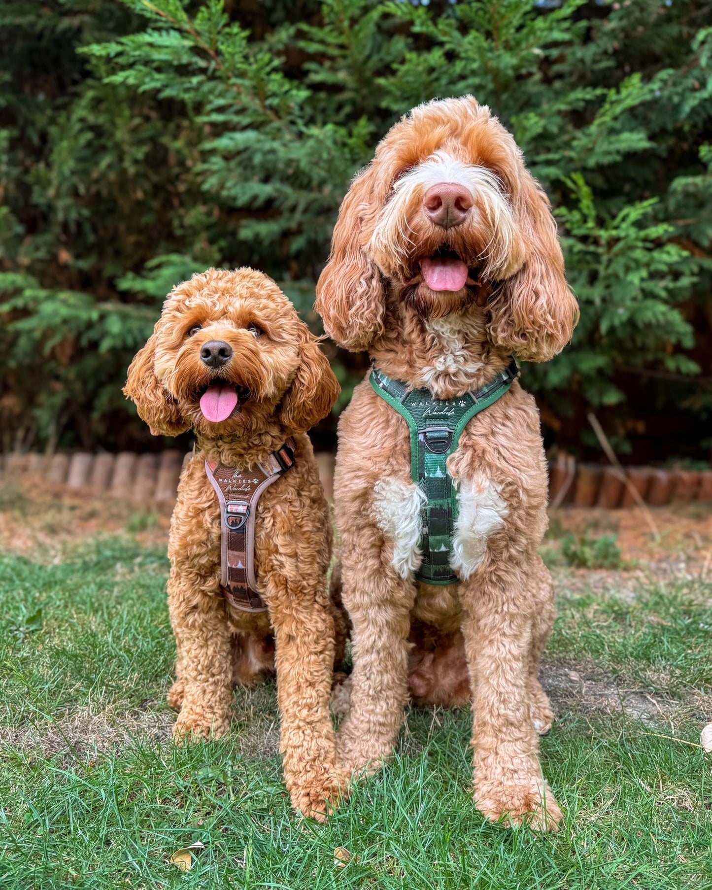 Forest Whispers Y-Flex Pro ™ Harness Chestnut Glade
