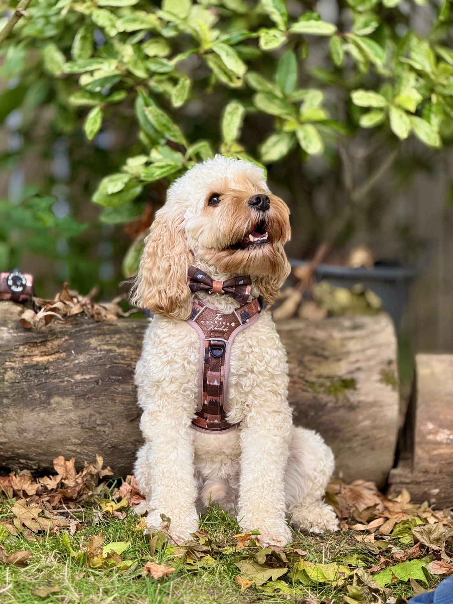 Forest Whispers Y-Flex Pro ™ Harness Chestnut Glade