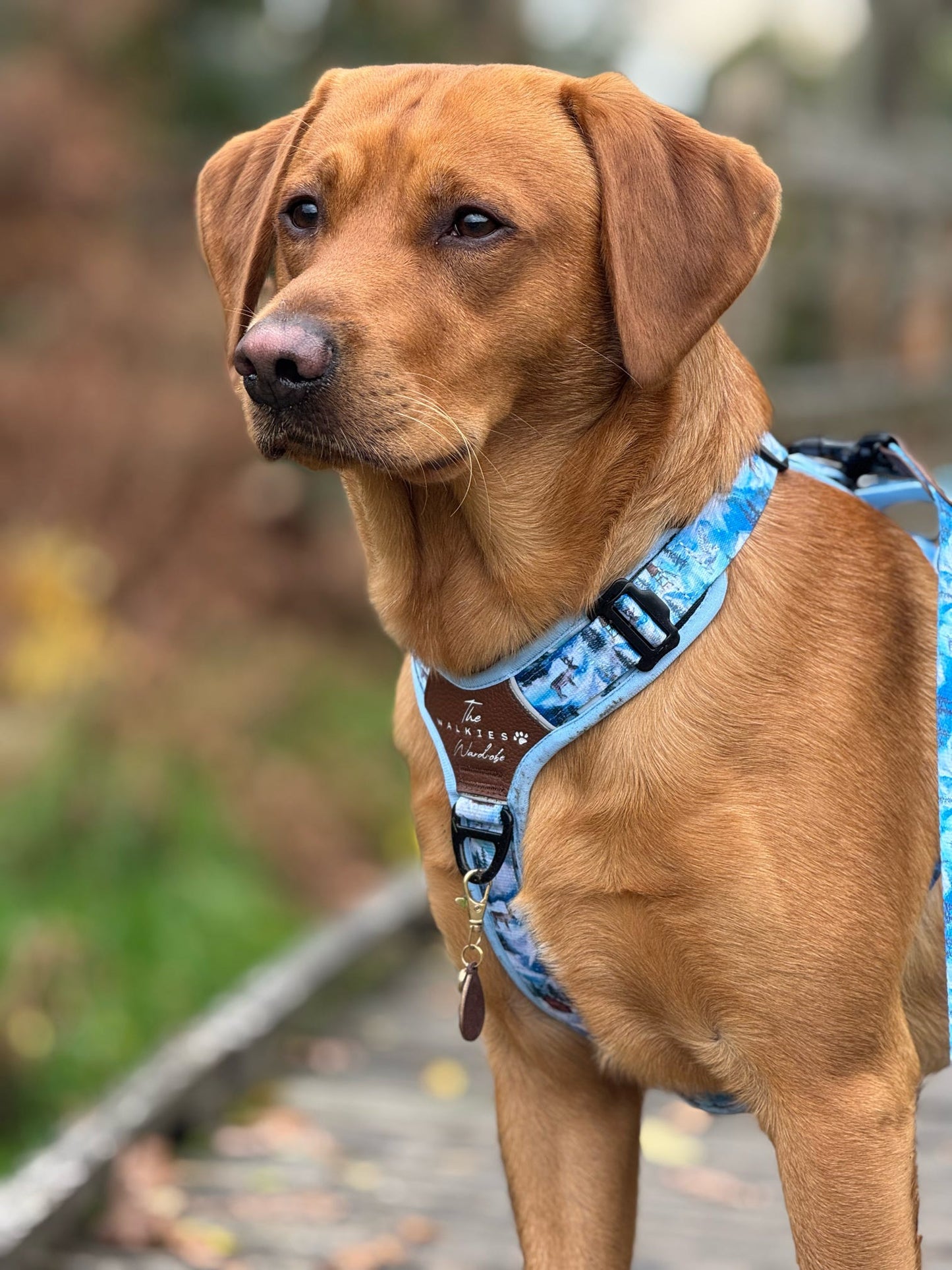 Frosted Peaks Y-Flex Pro harness