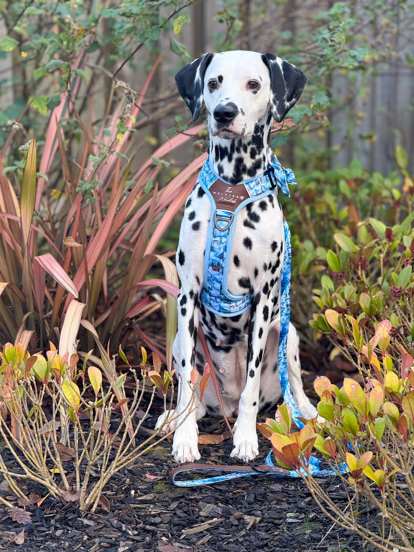 Frosted Peaks Y-Flex Pro harness