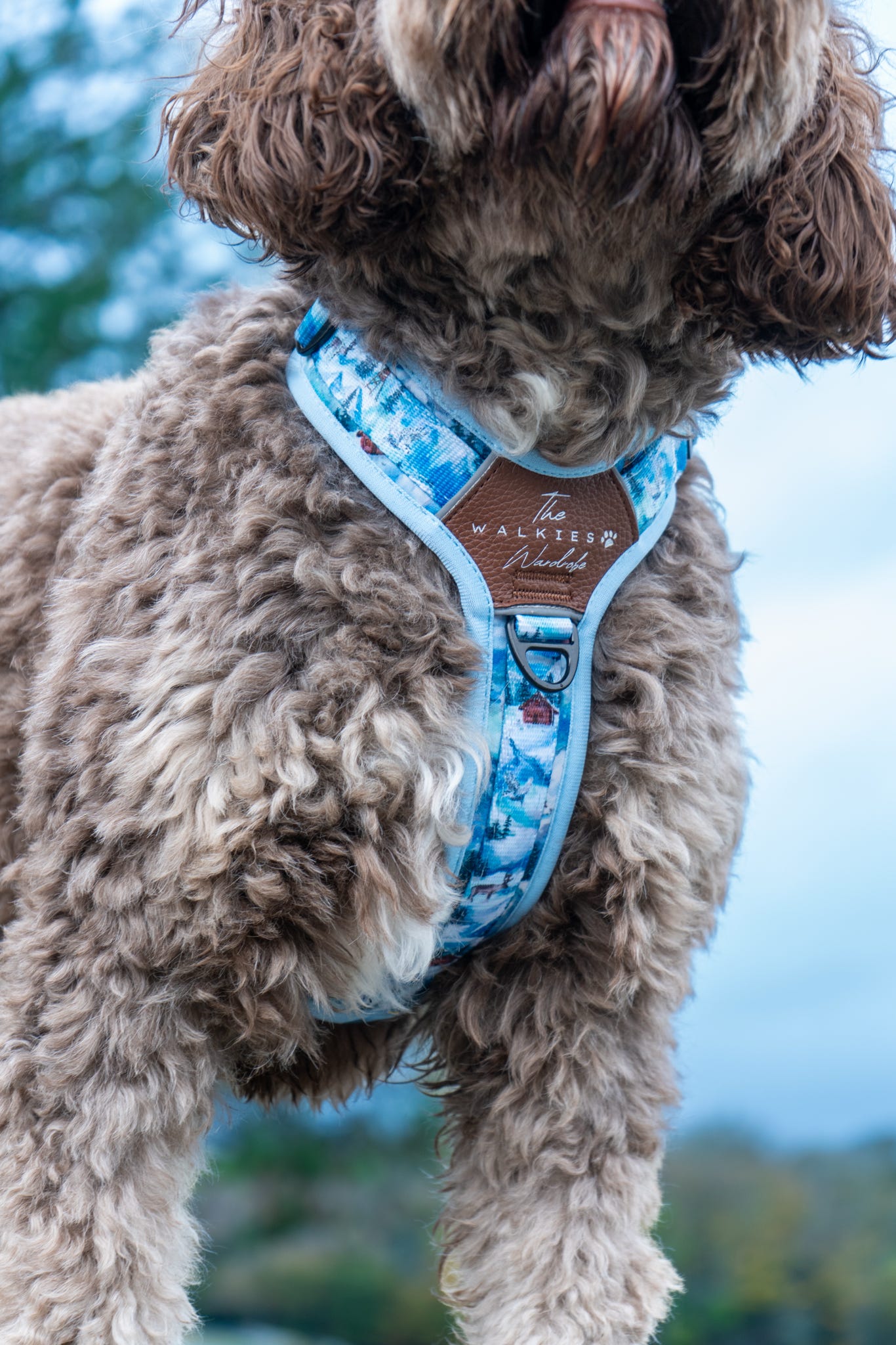 Frosted Peaks Y-Flex Pro harness