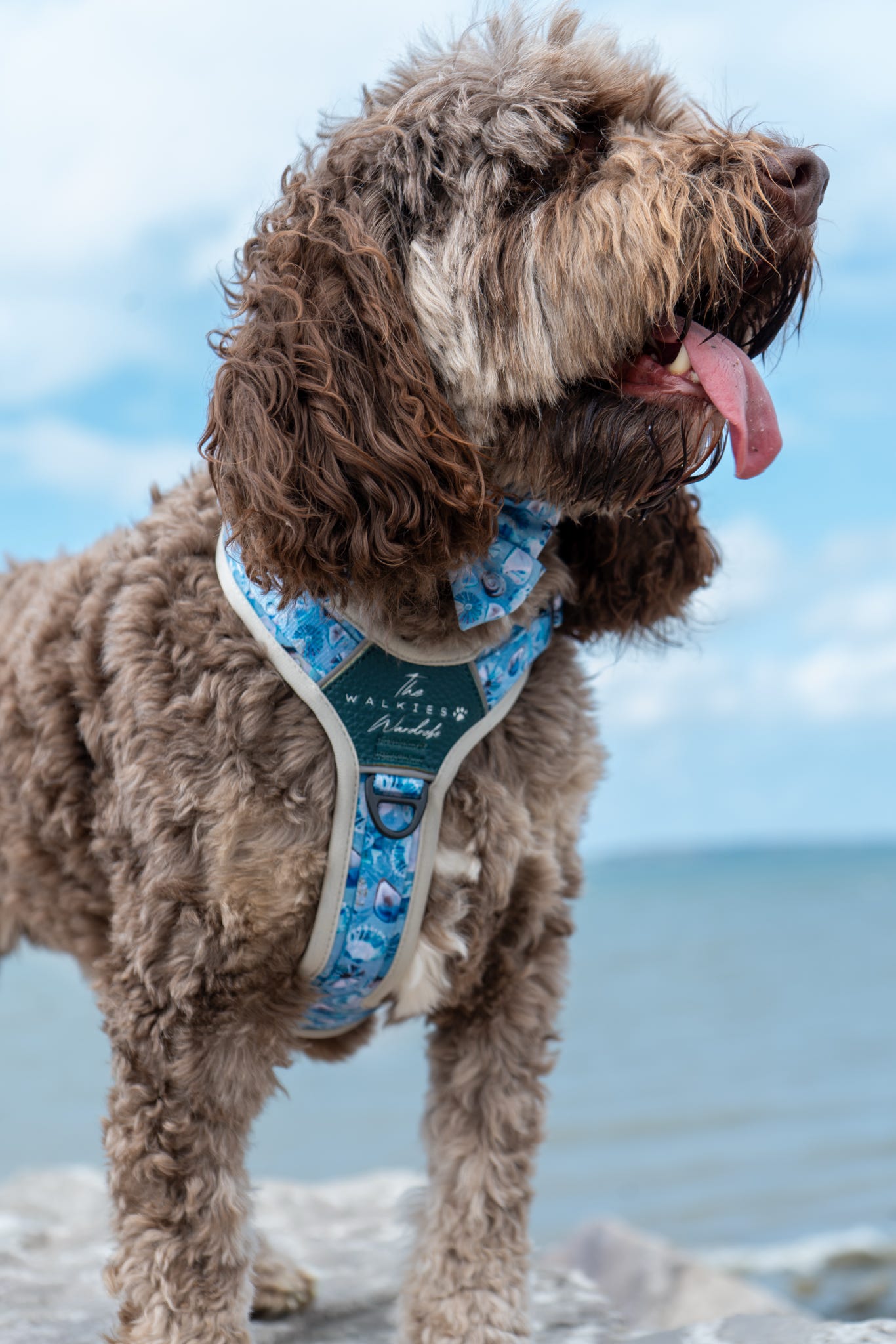 Seashell Symphony Y-Flex Pro ™ harness