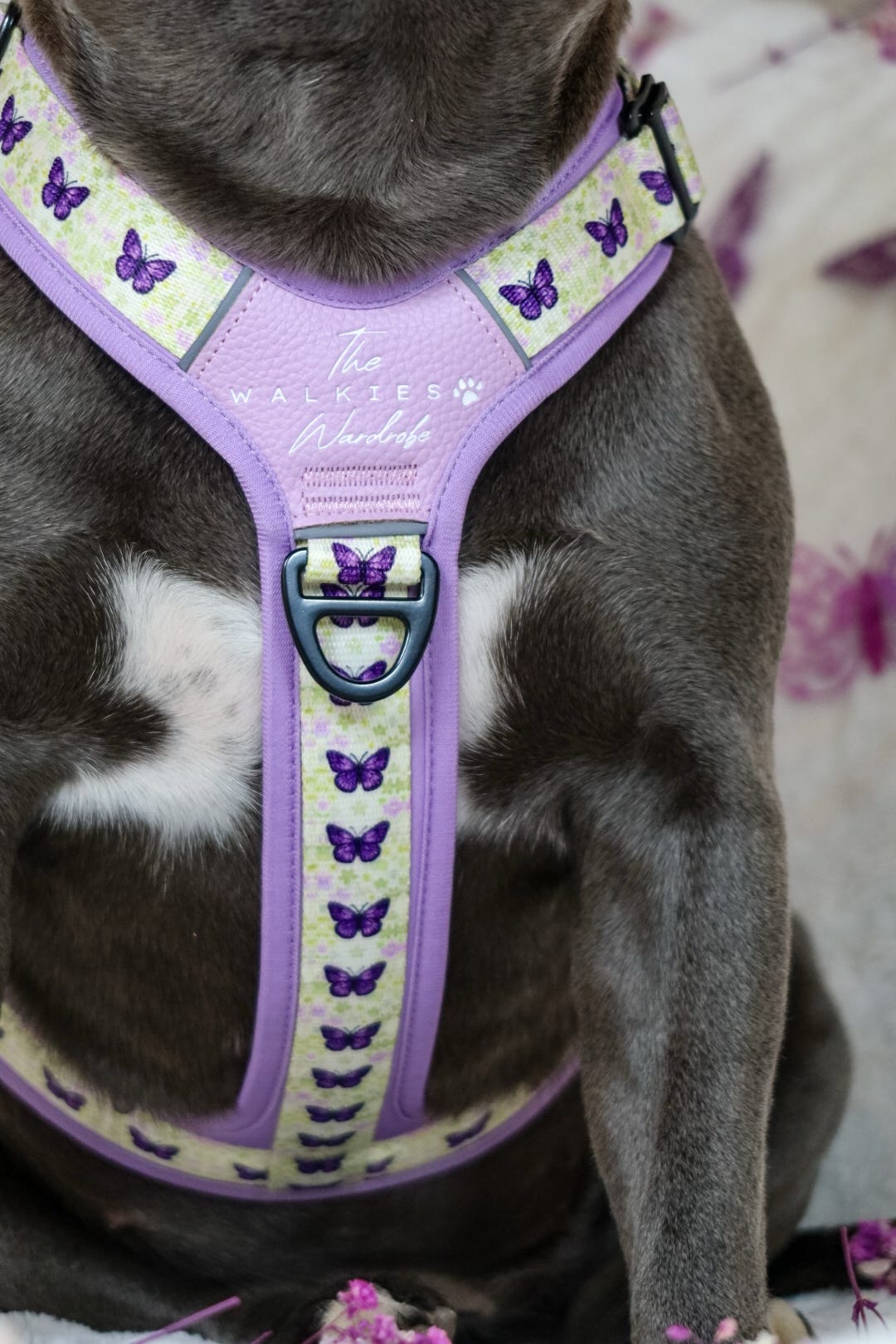 Y-Flex Pro harness- Beautiful Becoming