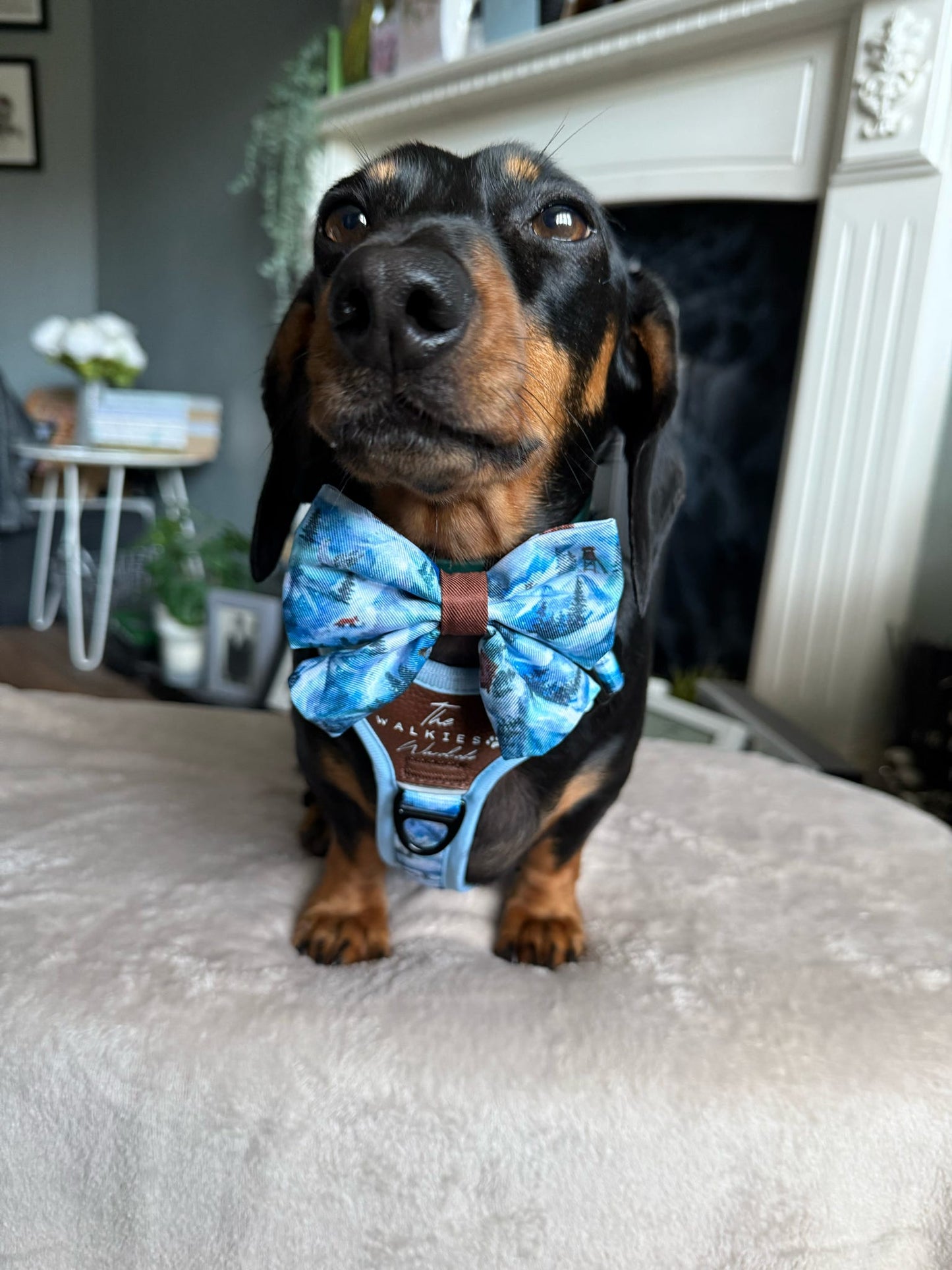 Frosted Peaks Y-Flex Pro harness