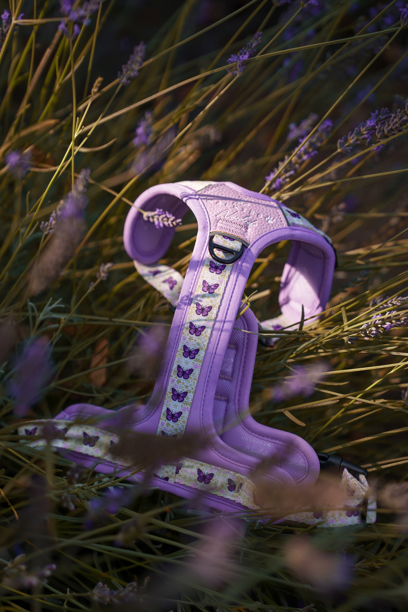 Y-Flex Pro harness- Beautiful Becoming