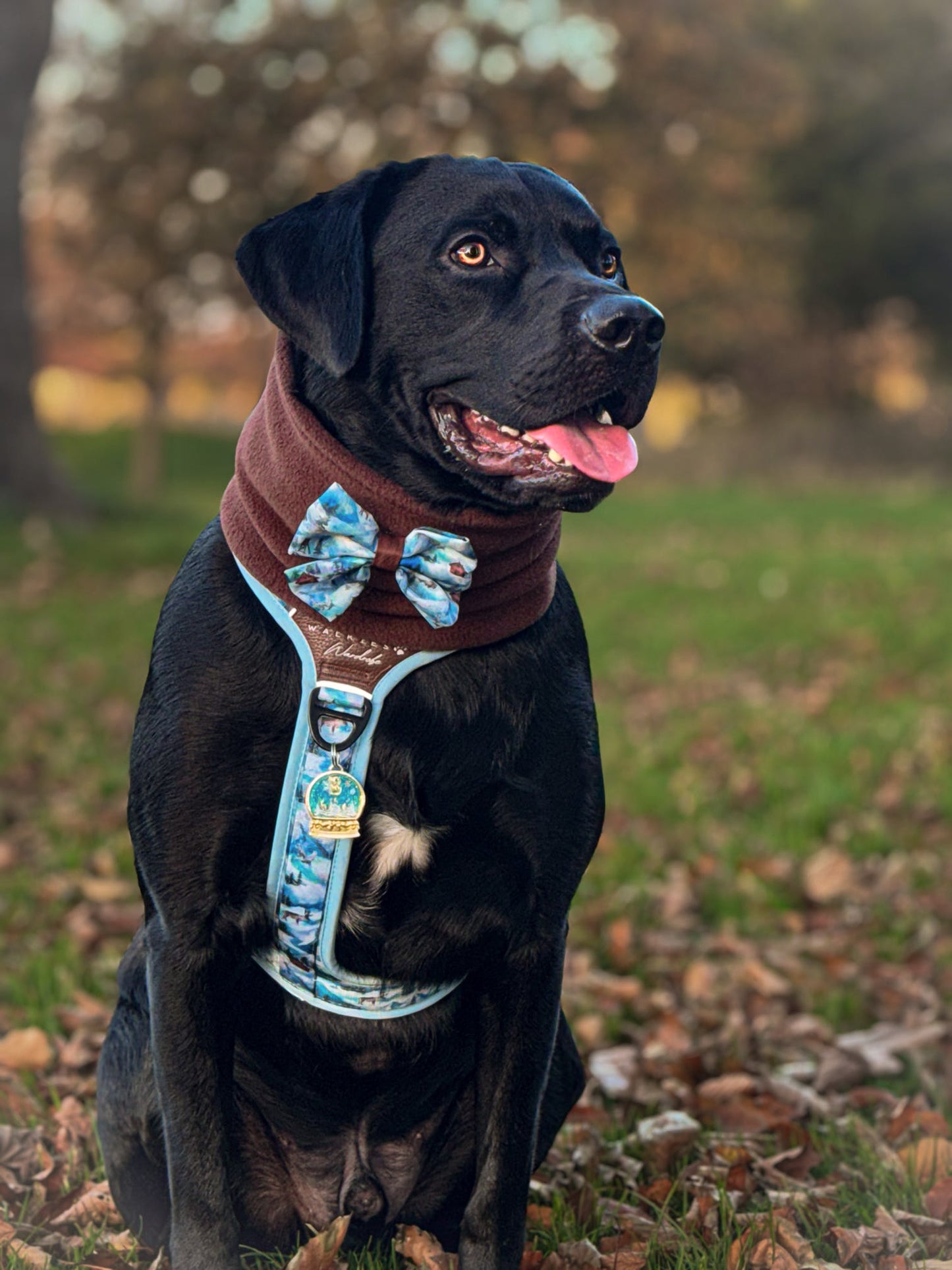 Frosted Peaks Y-Flex Pro harness