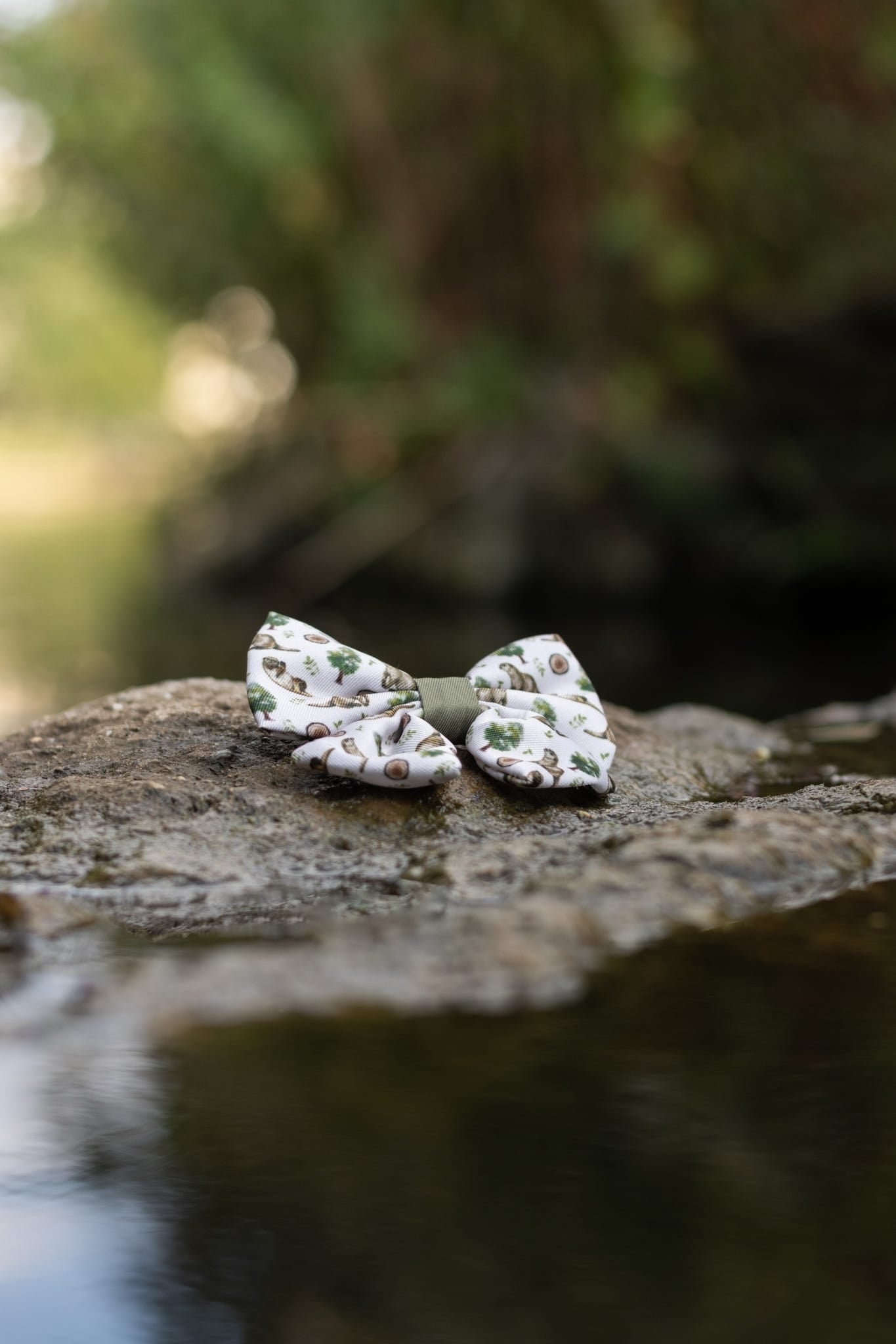 Sailor Bow-Otter Tarn