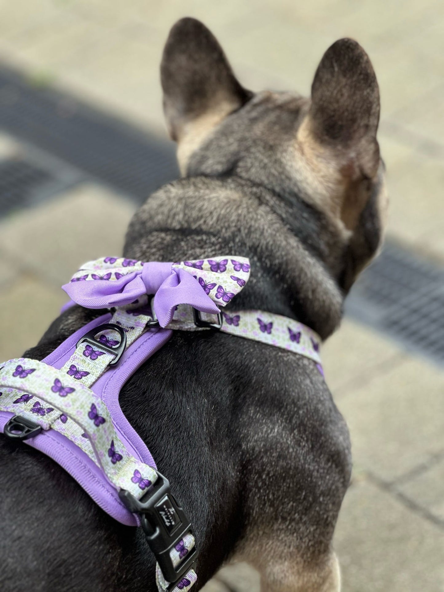 Y-Flex Pro harness- Beautiful Becoming