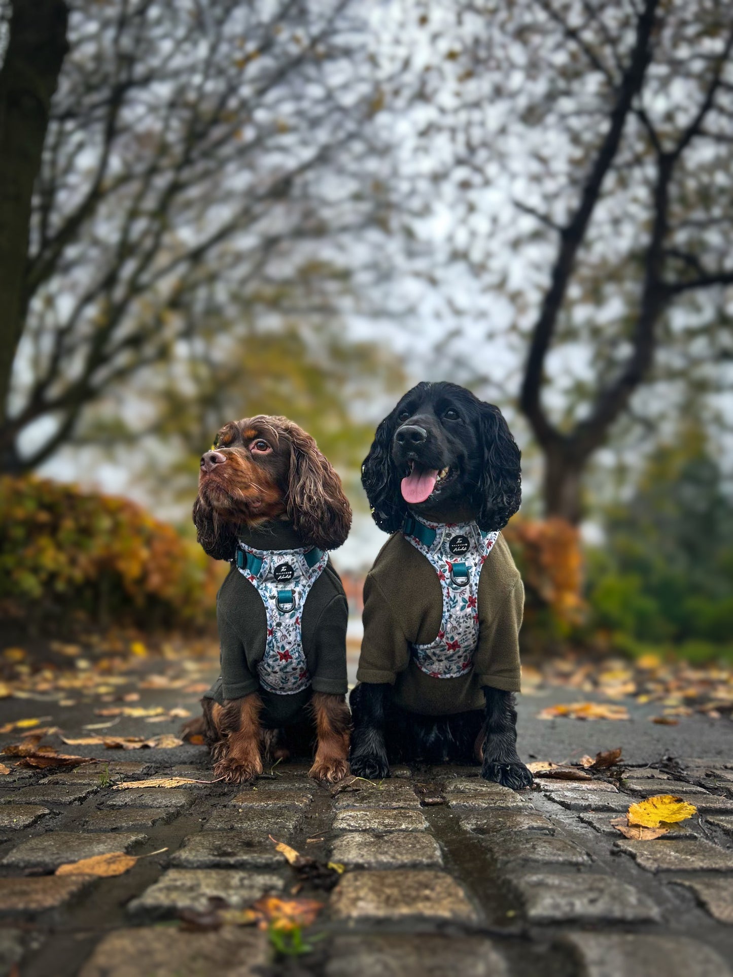 Poinsettia Woods Tough Trekker plushcore Harness