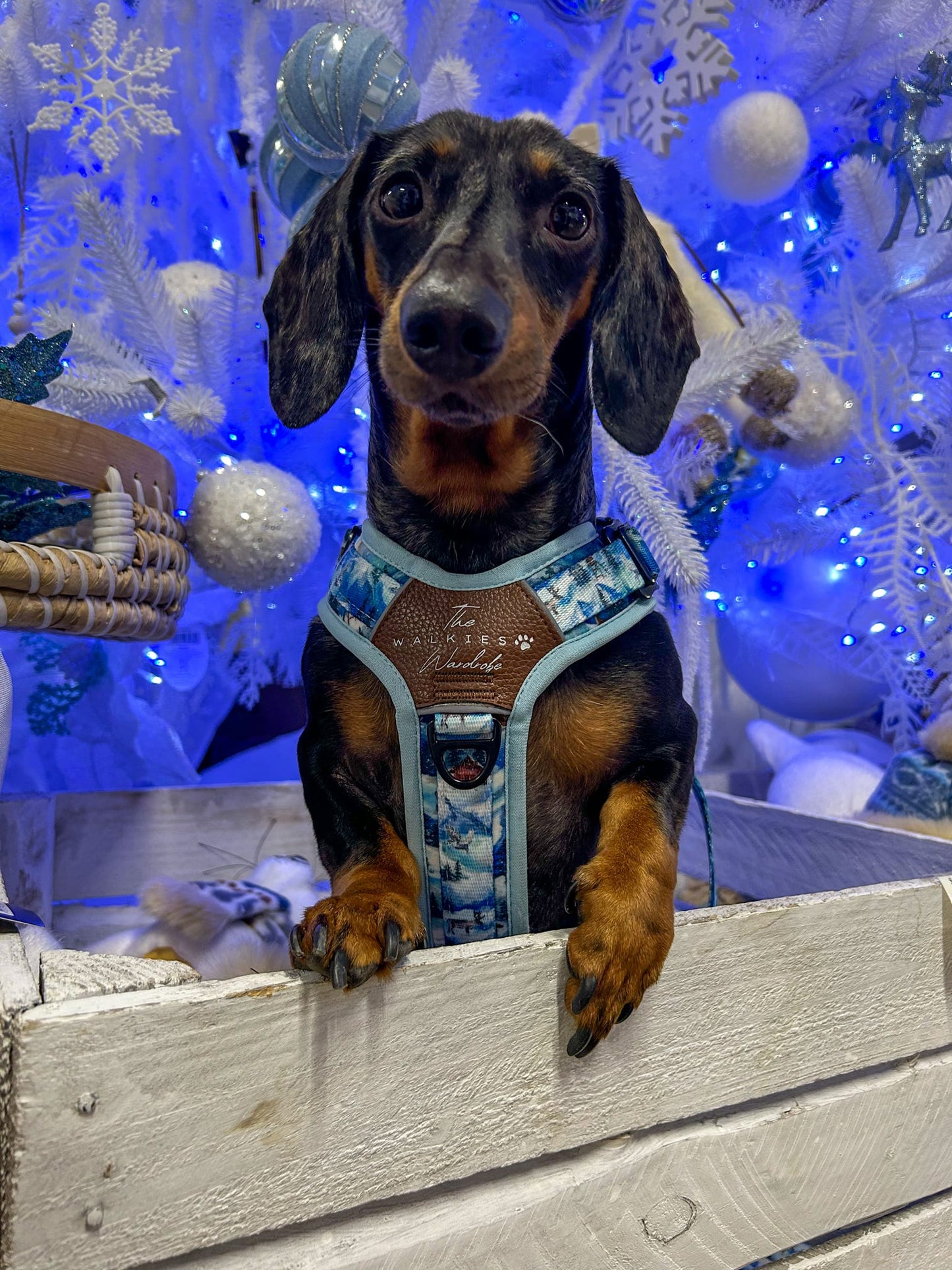 Frosted Peaks Y-Flex Pro harness