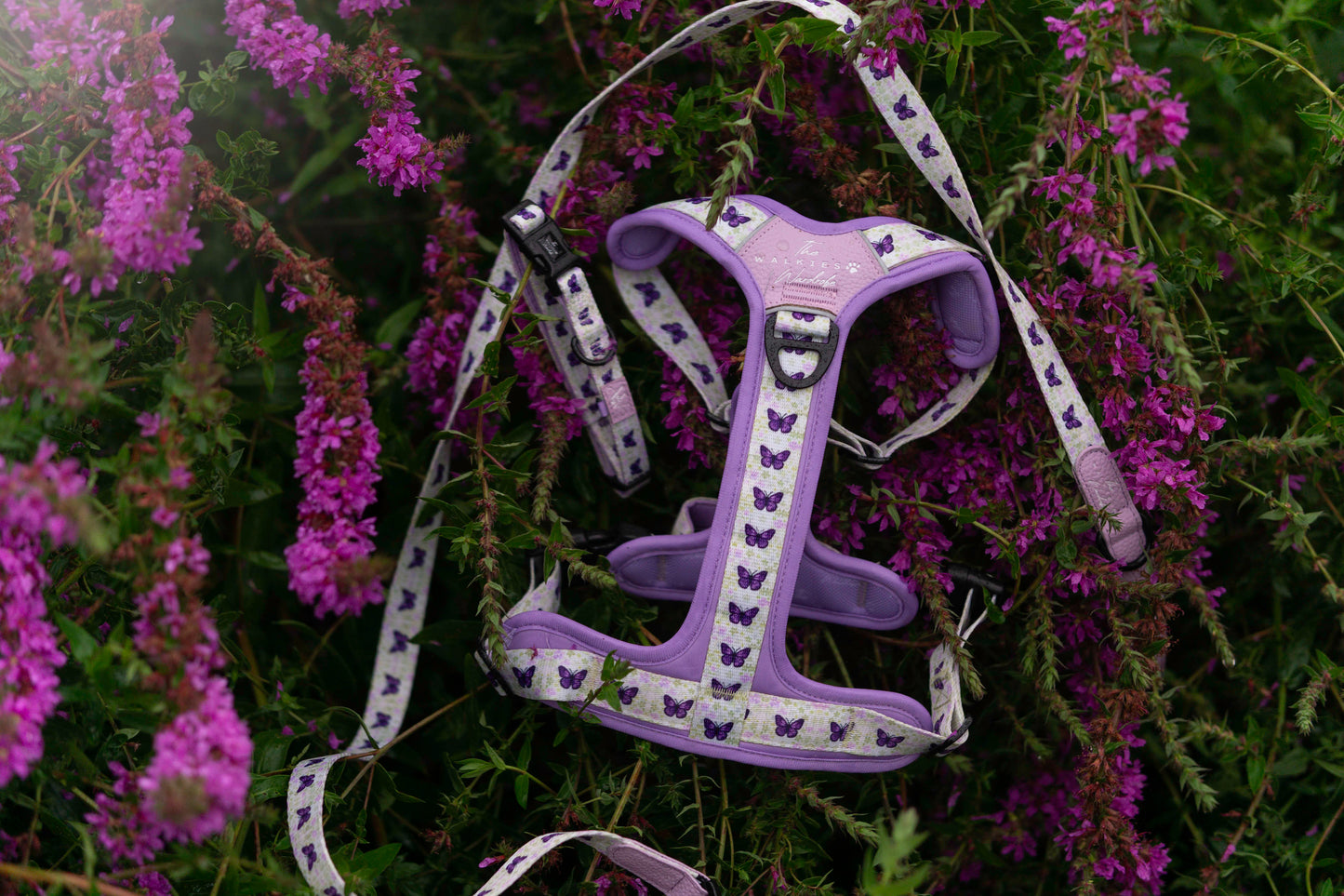Y-Flex Pro harness- Beautiful Becoming
