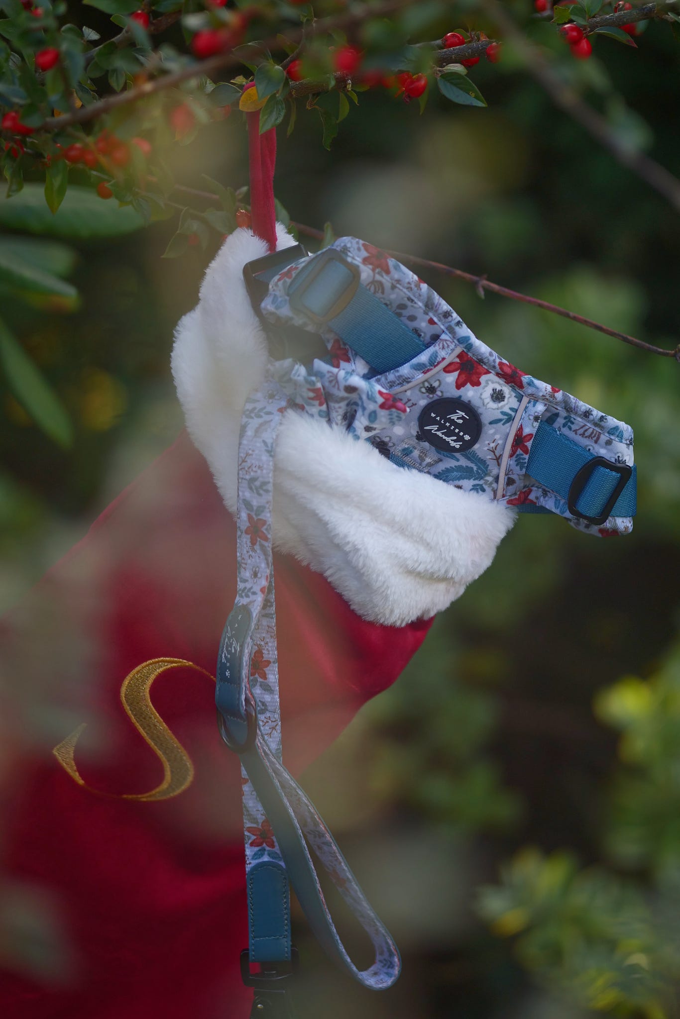 Poinsettia Woods Tough Trekker plushcore Harness