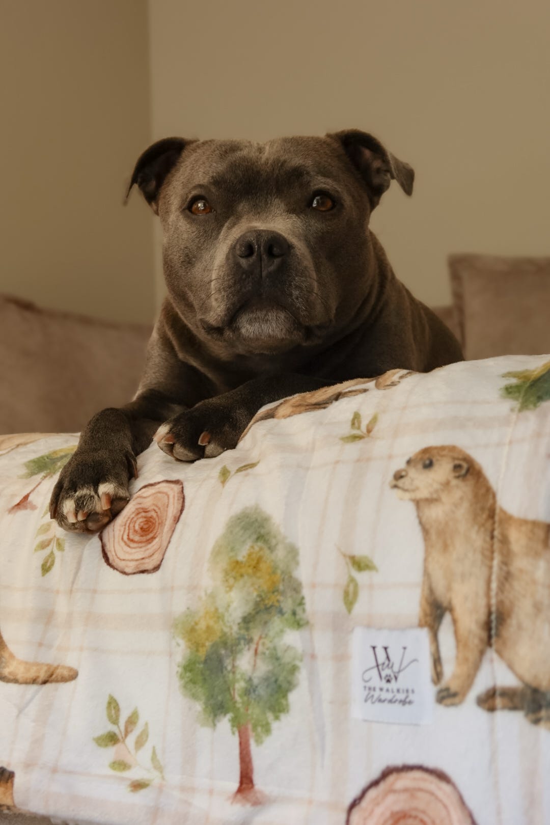Otter Tarn Sherpa blanket