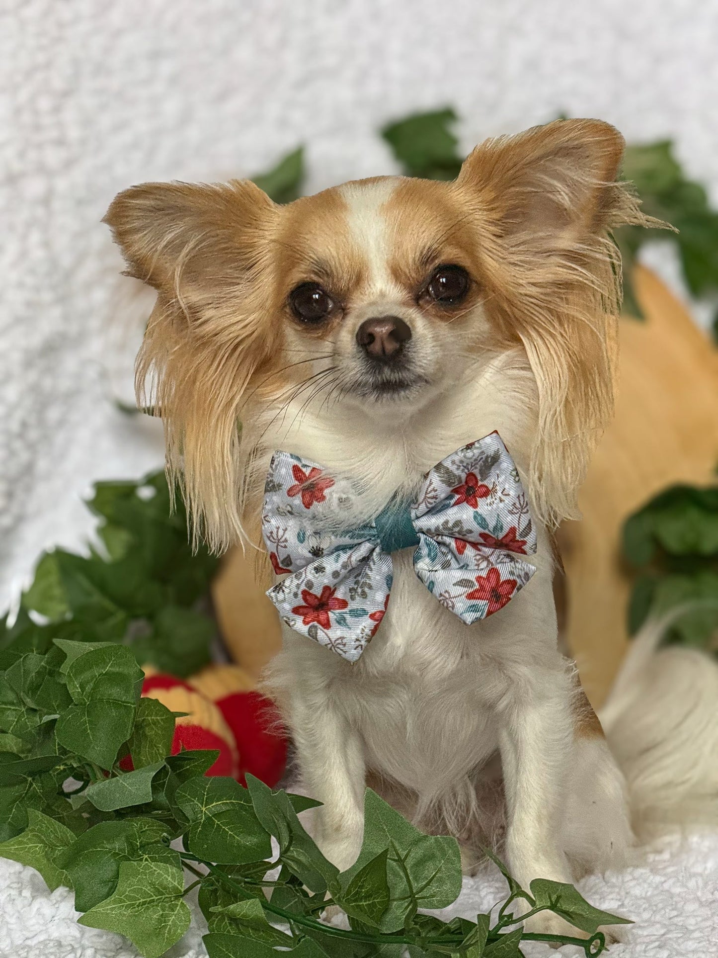 Bow- Poinsettia Wood