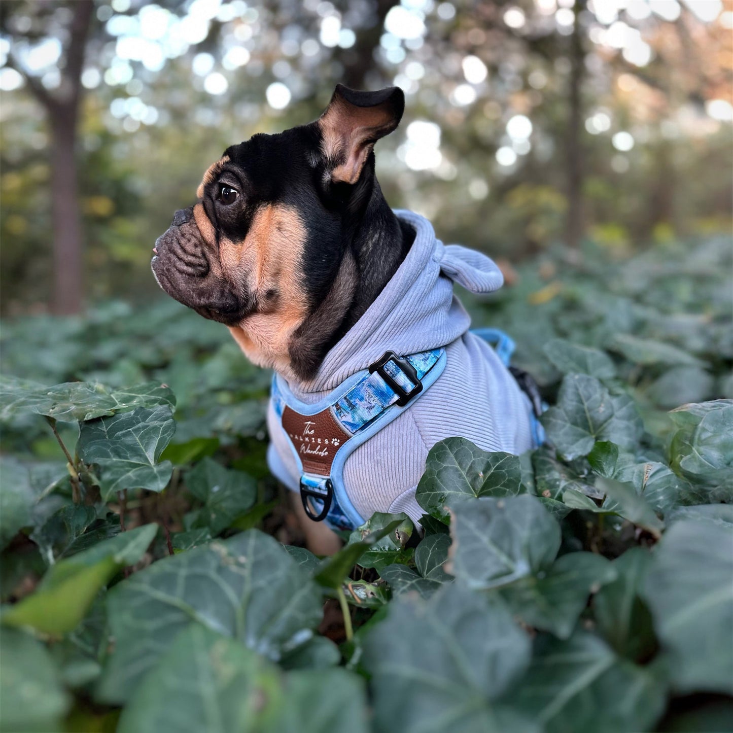 Frosted Peaks Y-Flex Pro harness