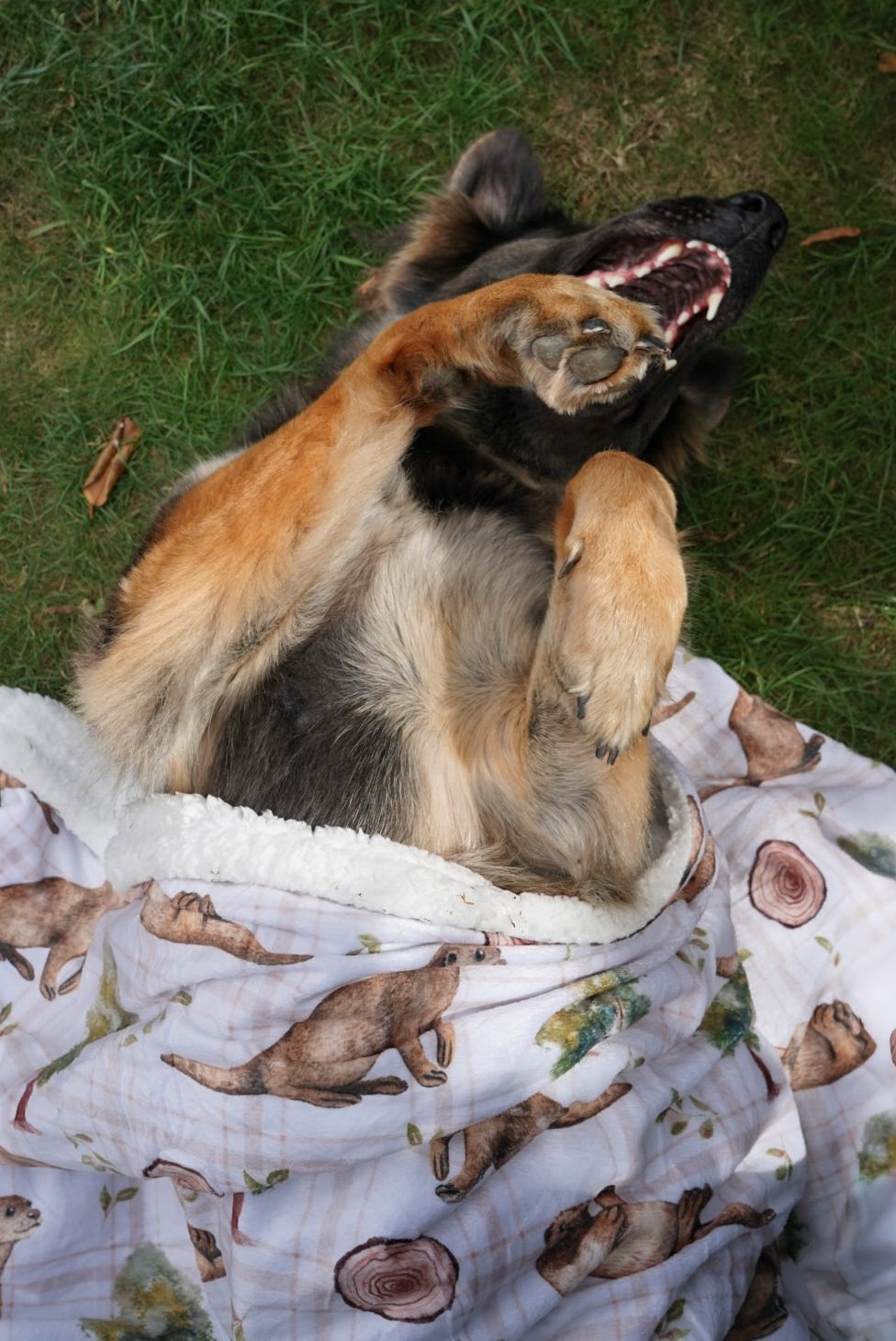 Otter Tarn Sherpa blanket