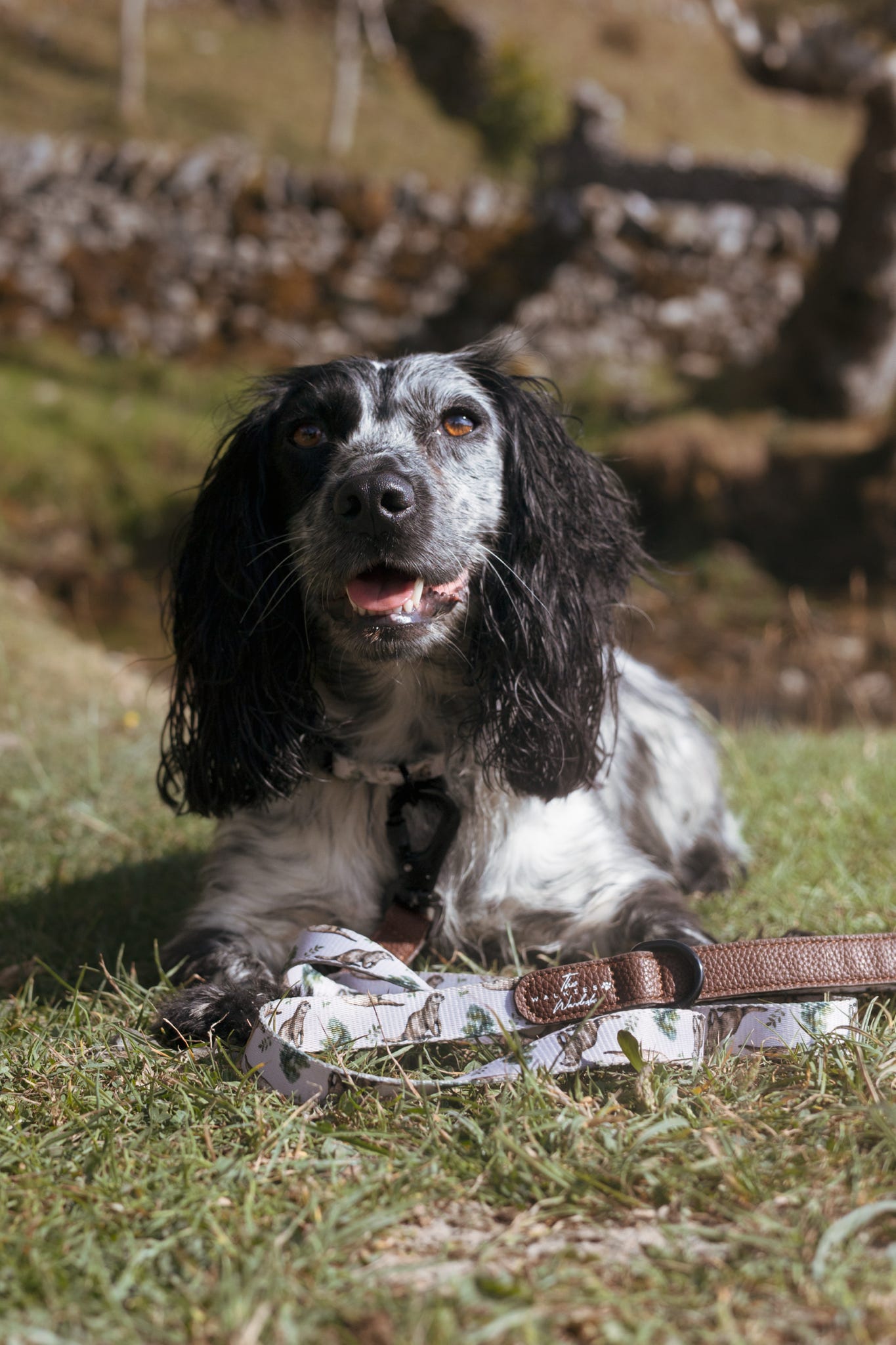 Leads- Otter Tarn