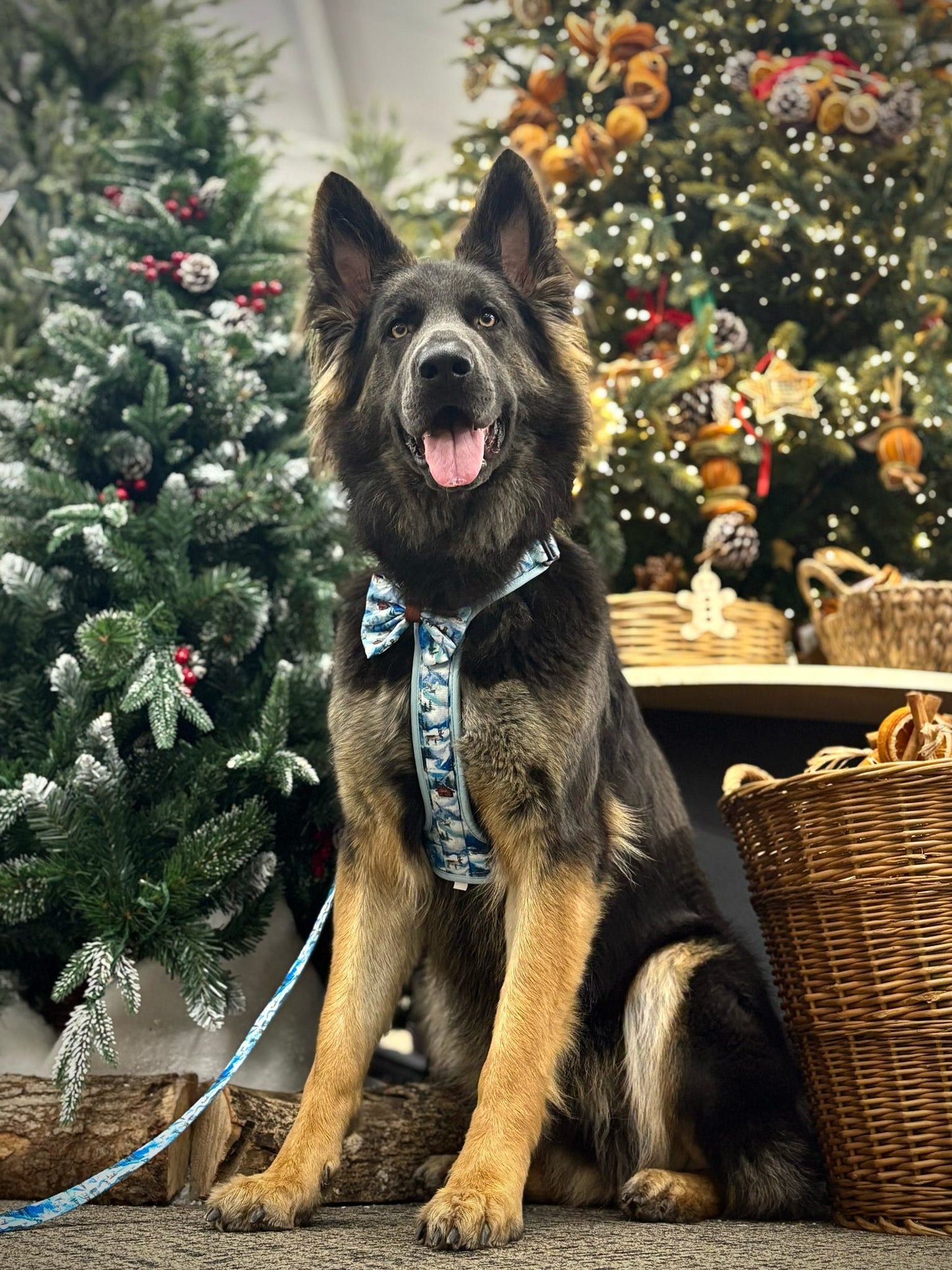 Frosted Peaks Y-Flex Pro harness