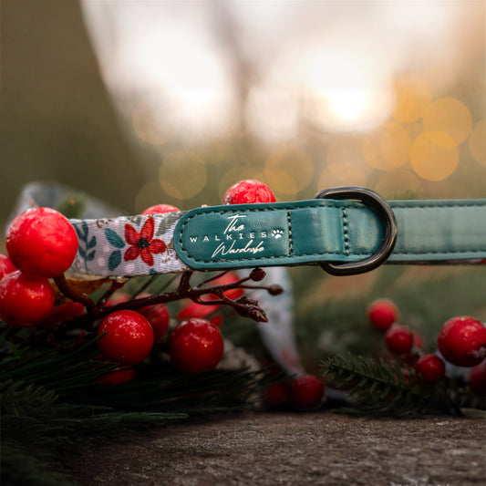 Lead- Poinsettia Wood