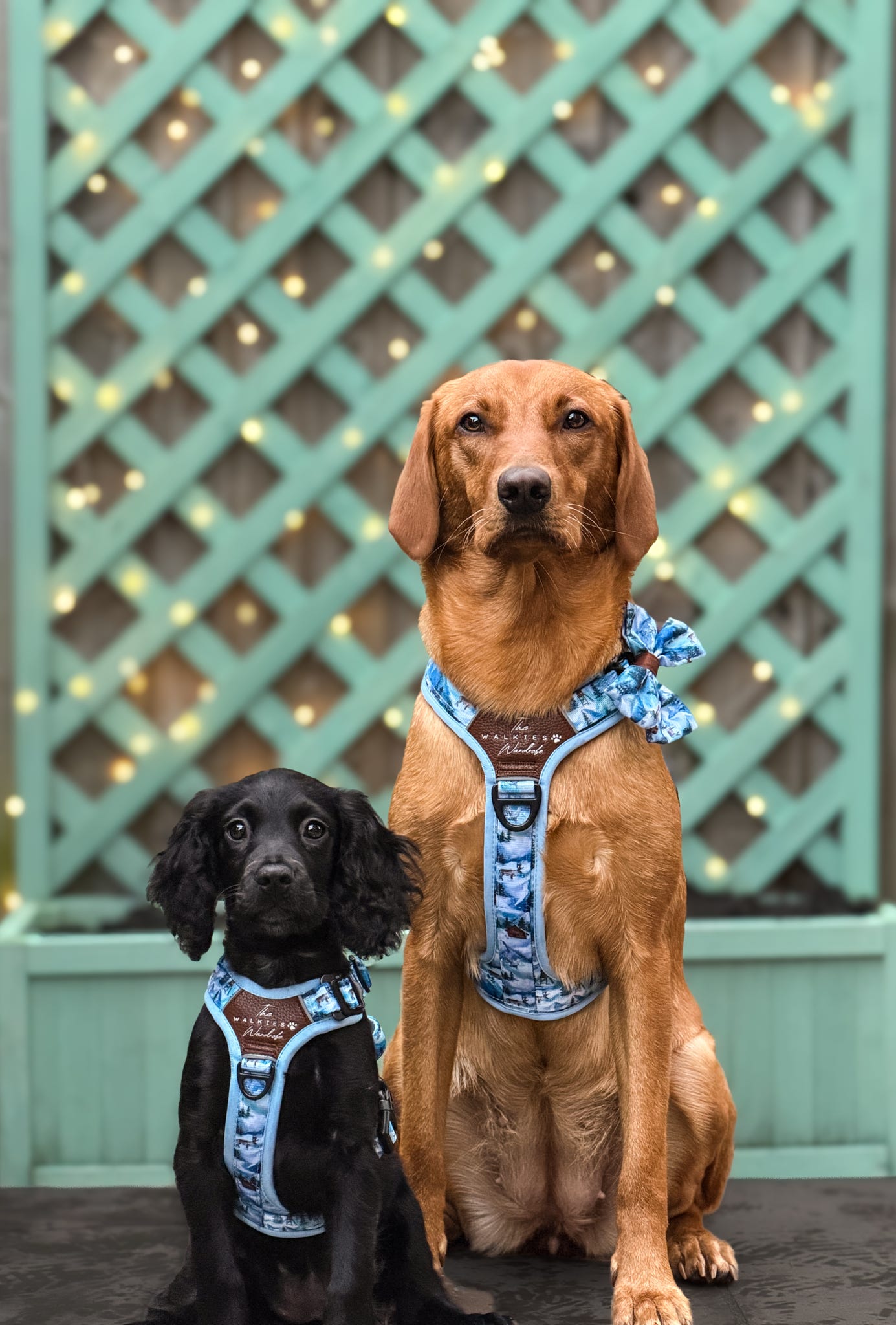 Frosted Peaks Y-Flex Pro harness