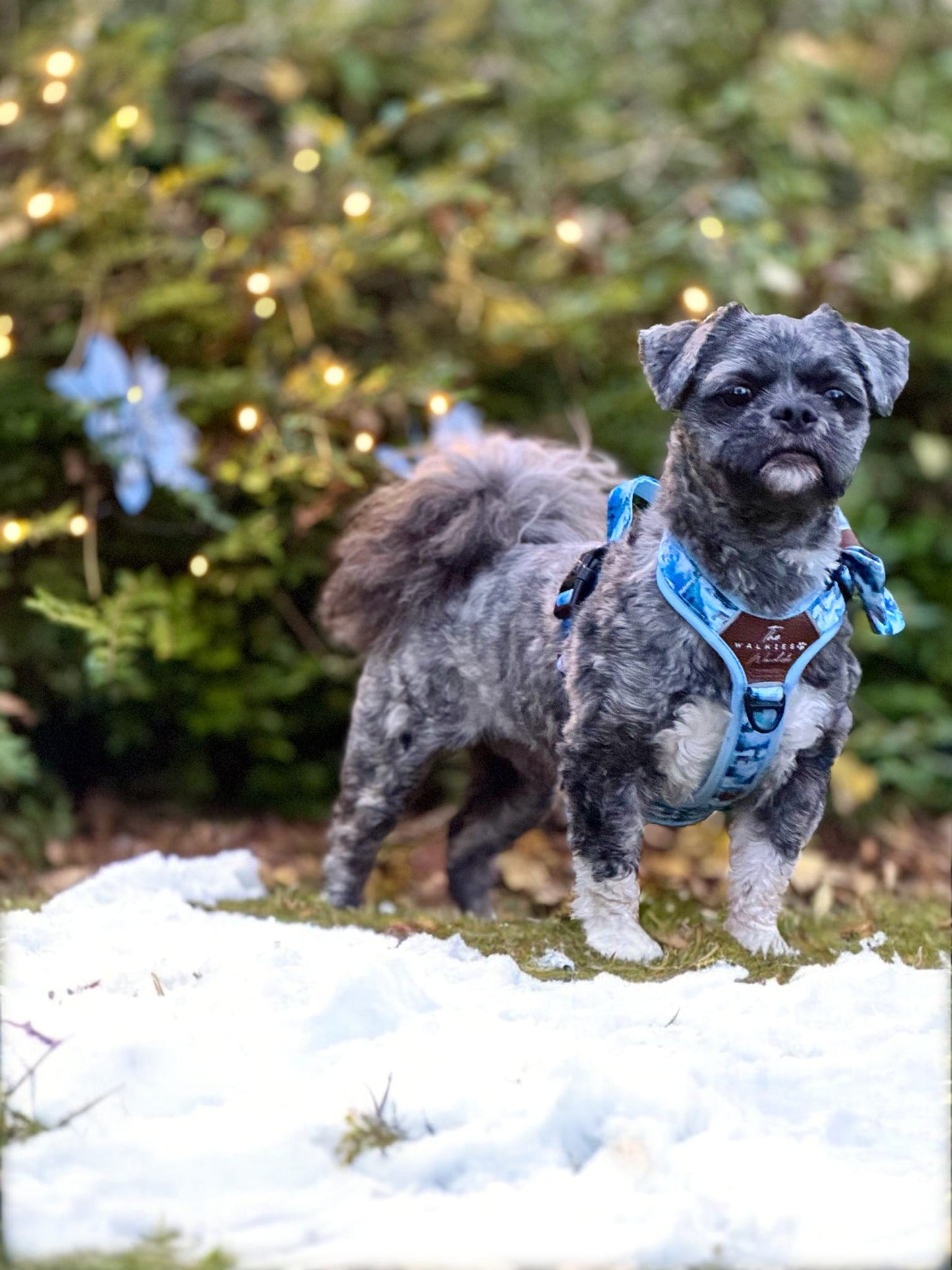 Frosted Peaks Y-Flex Pro harness