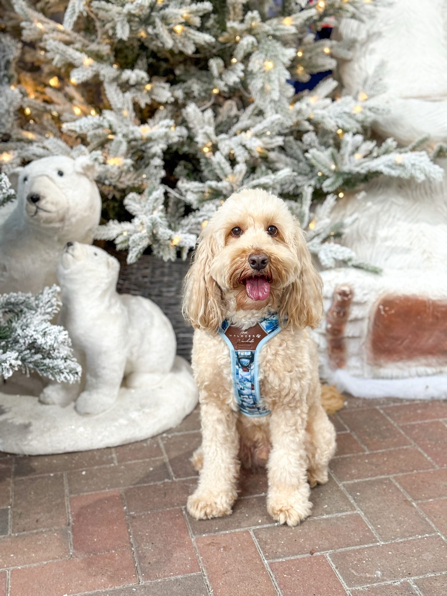 Frosted Peaks Y-Flex Pro harness