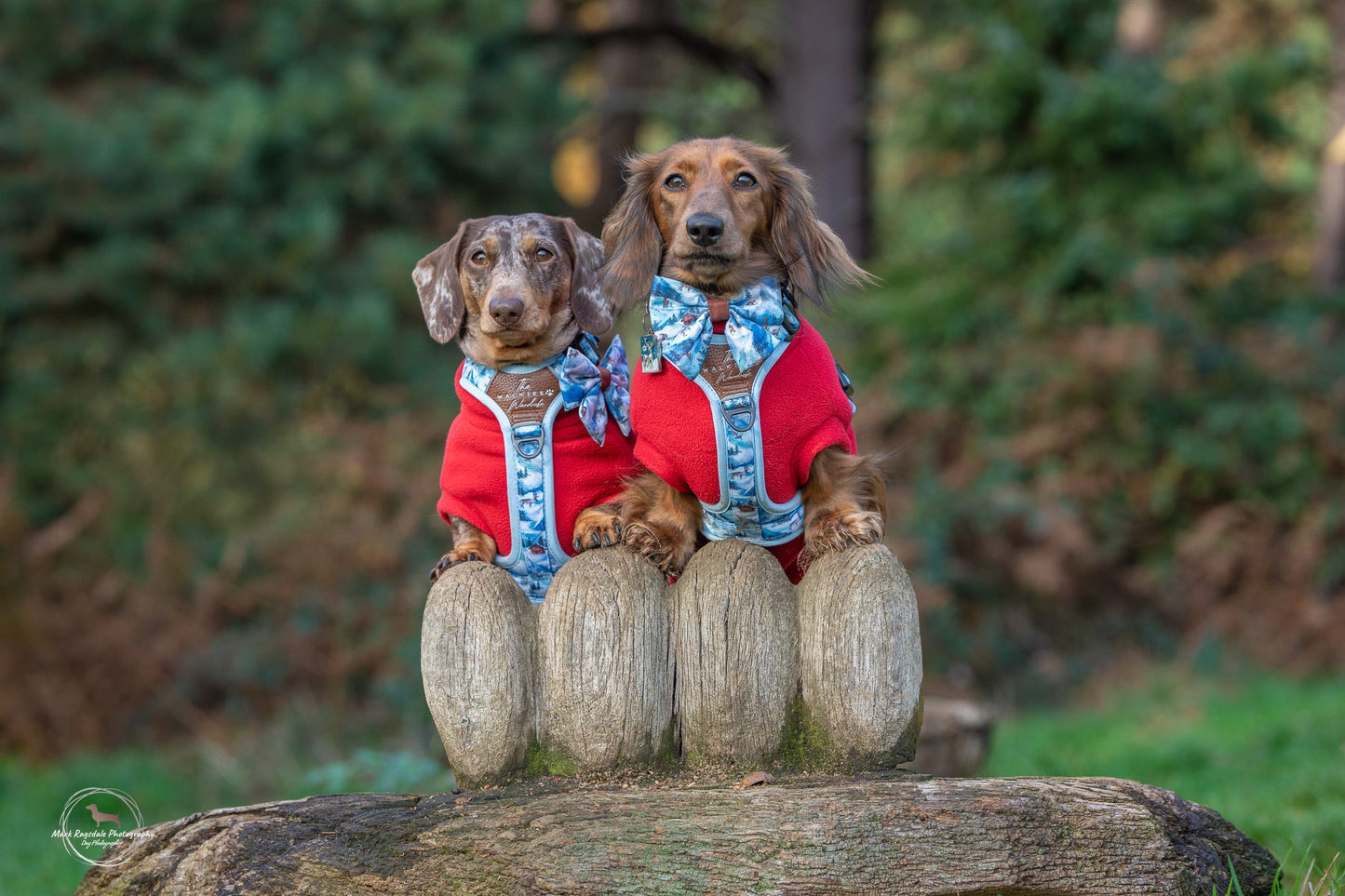 Frosted Peaks Y-Flex Pro harness