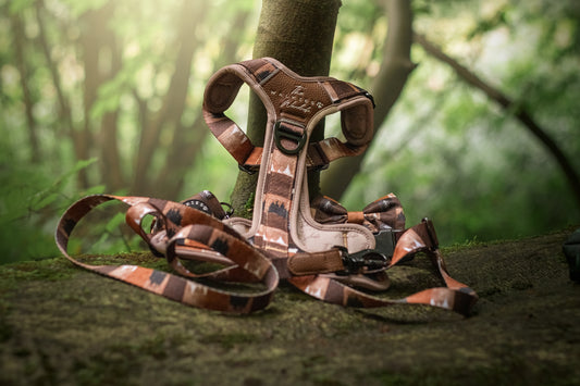 Forest Whispers Y-Flex Pro ™ Harness Chestnut Glade