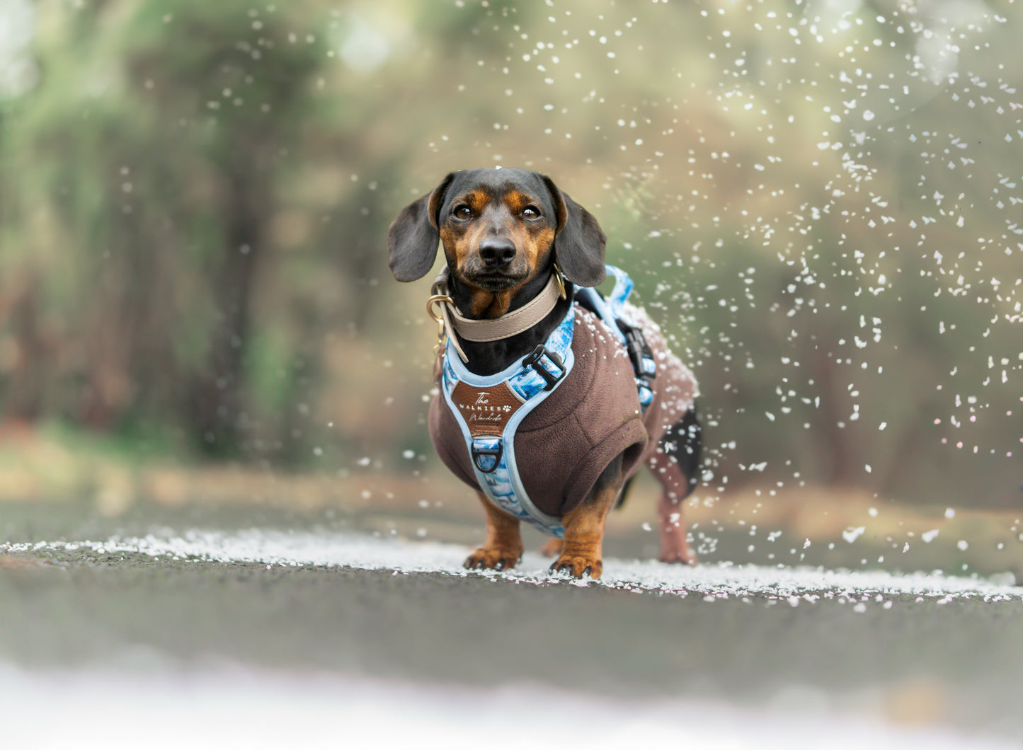 Frosted Peaks Y-Flex Pro harness