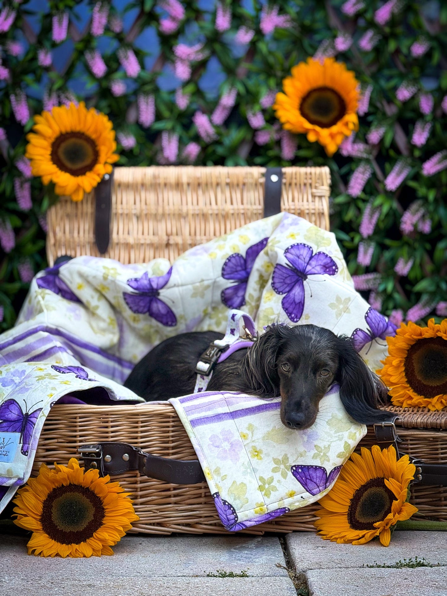 Beautiful Becoming luxurious blanket