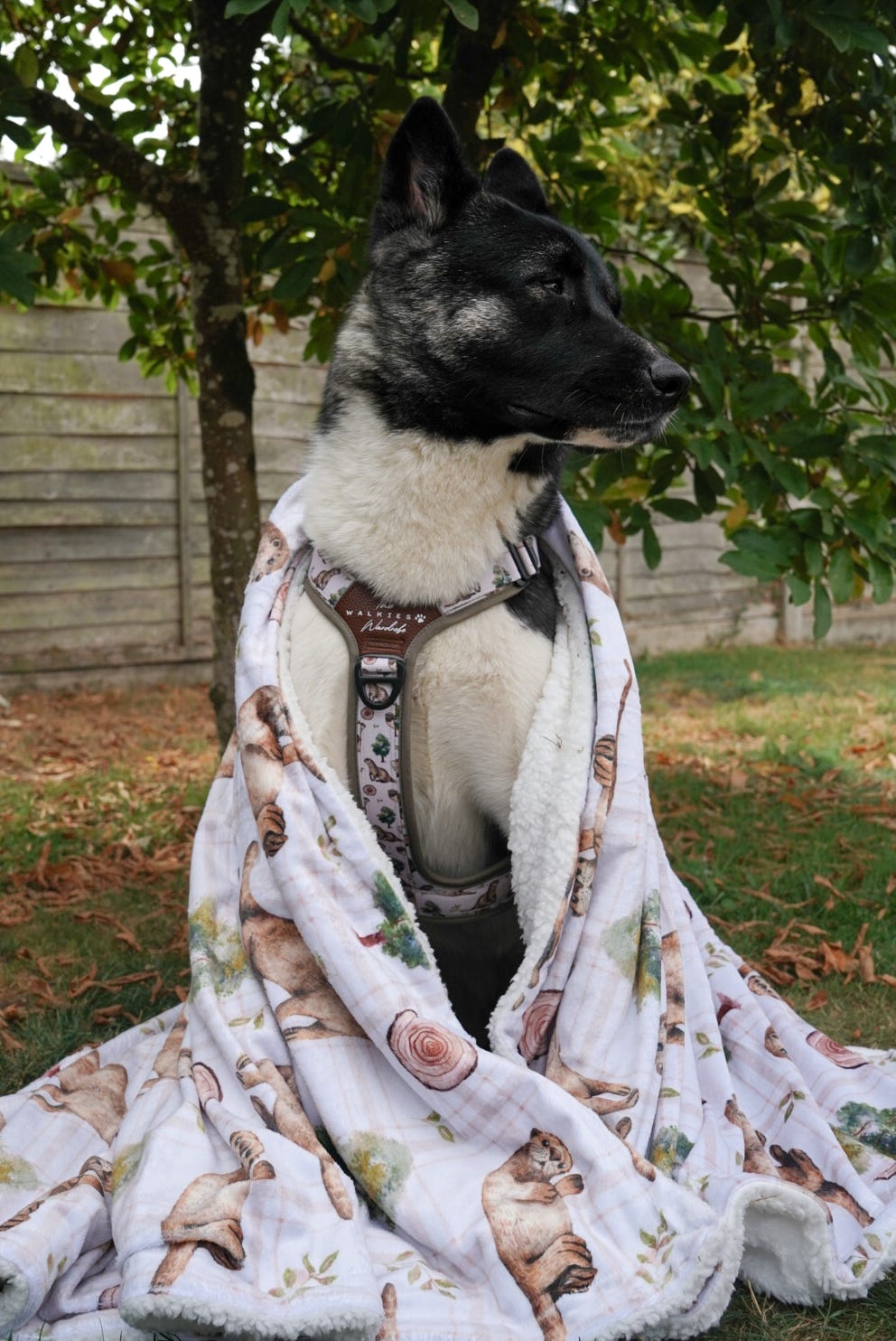 Otter Tarn Sherpa blanket