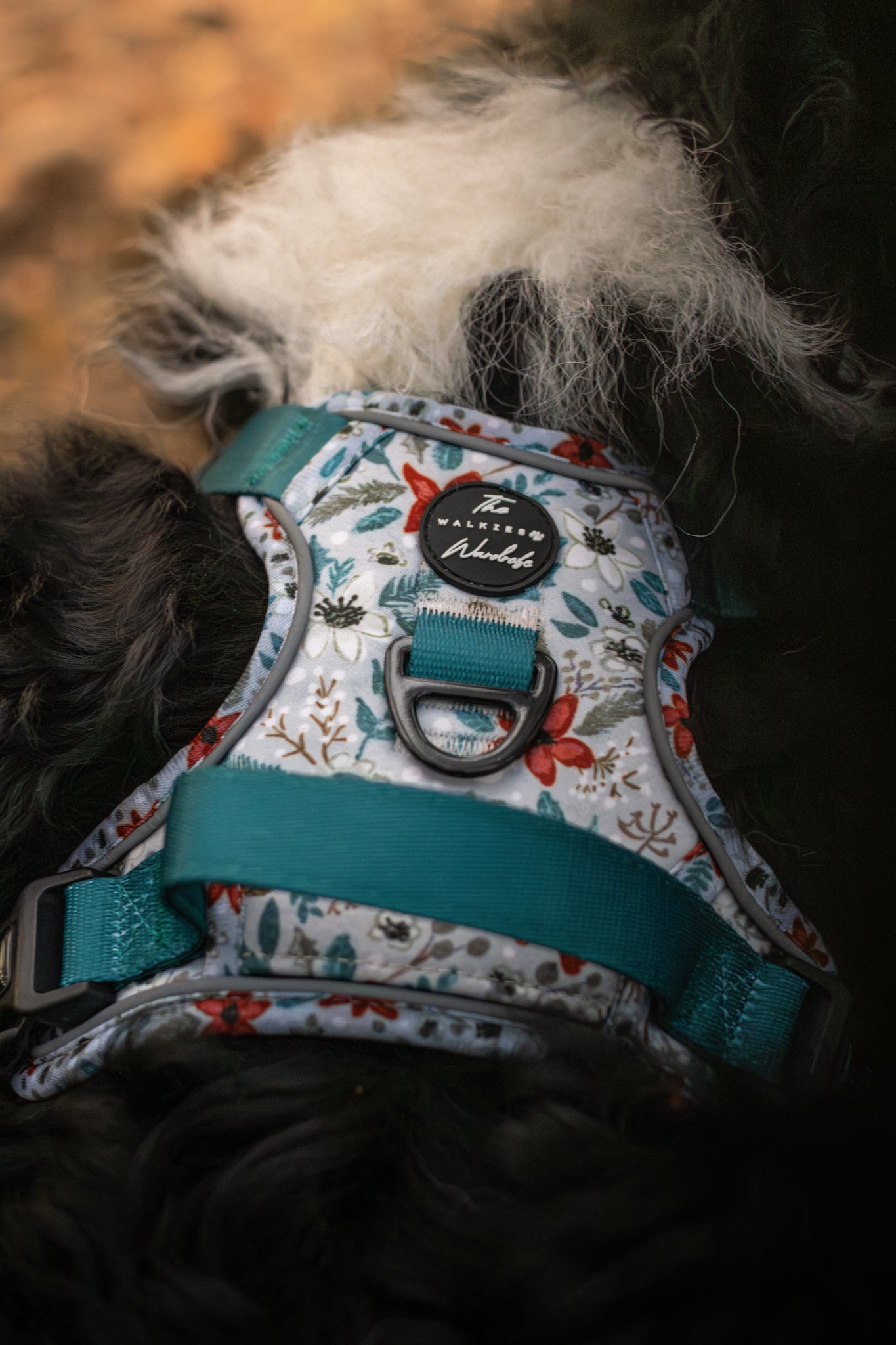 Poinsettia Woods Tough Trekker plushcore Harness