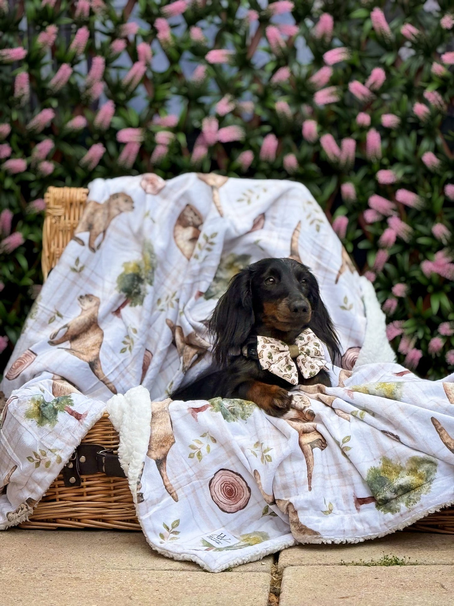 Otter Tarn Sherpa blanket