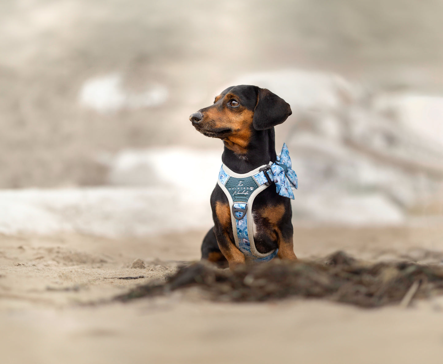 Seashell Symphony Y-Flex Pro ™ harness