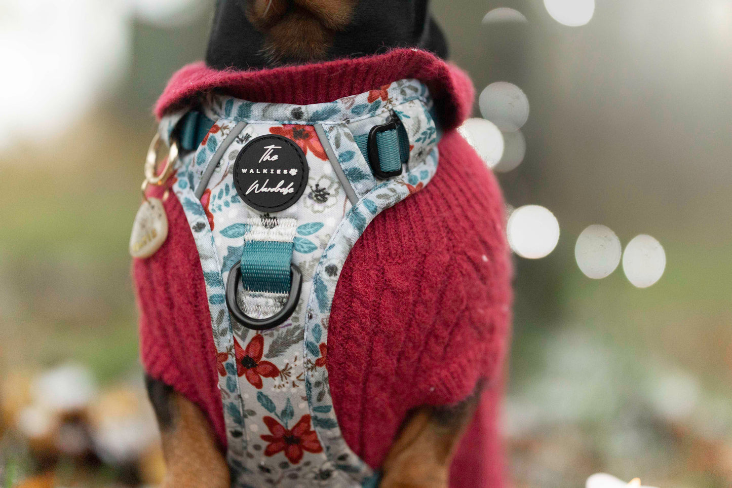 Poinsettia Woods Tough Trekker plushcore Harness