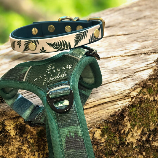 Wildriver and The Walkies Wardrobe Harness, Collar and lead Collaboration
