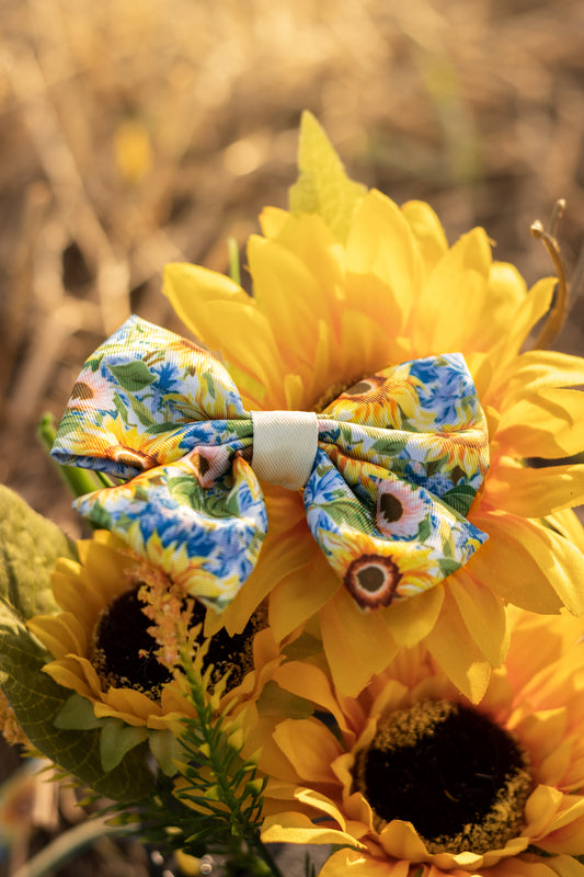 Follow the Sun Sailor Bow