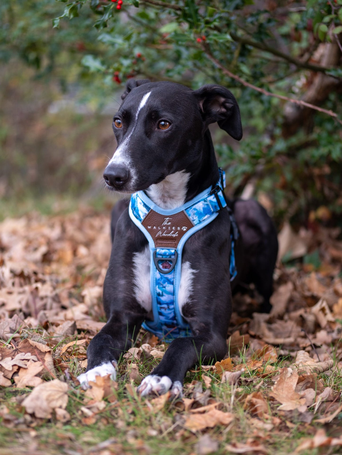 Frosted Peaks Y-Flex Pro harness