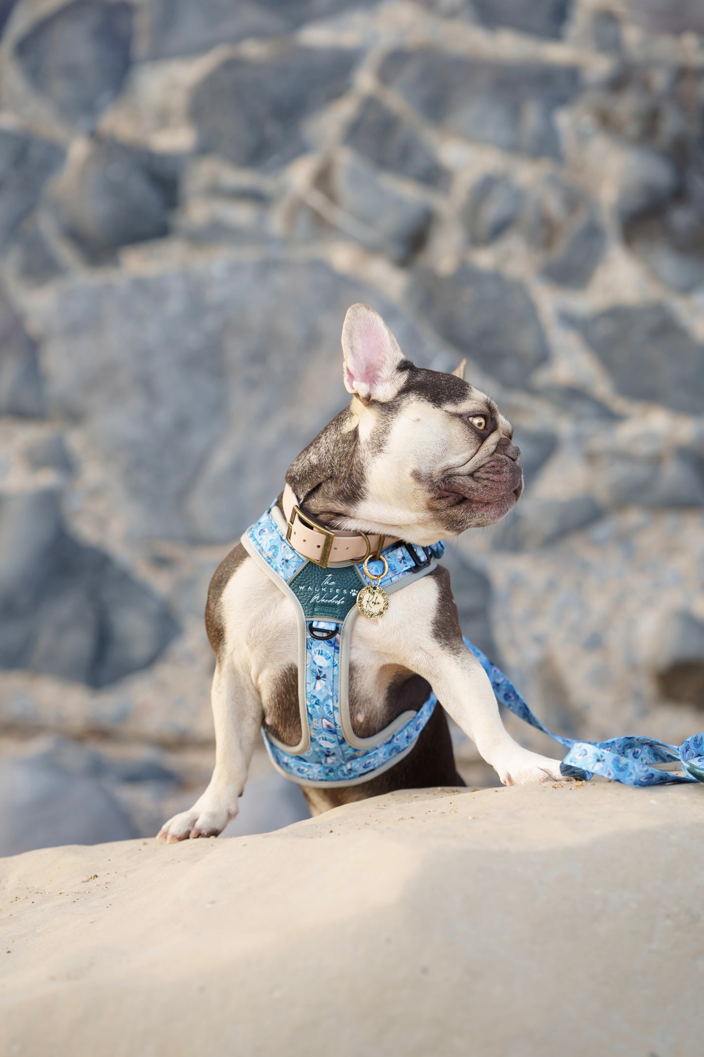Seashell Symphony Y-Flex Pro ™ harness